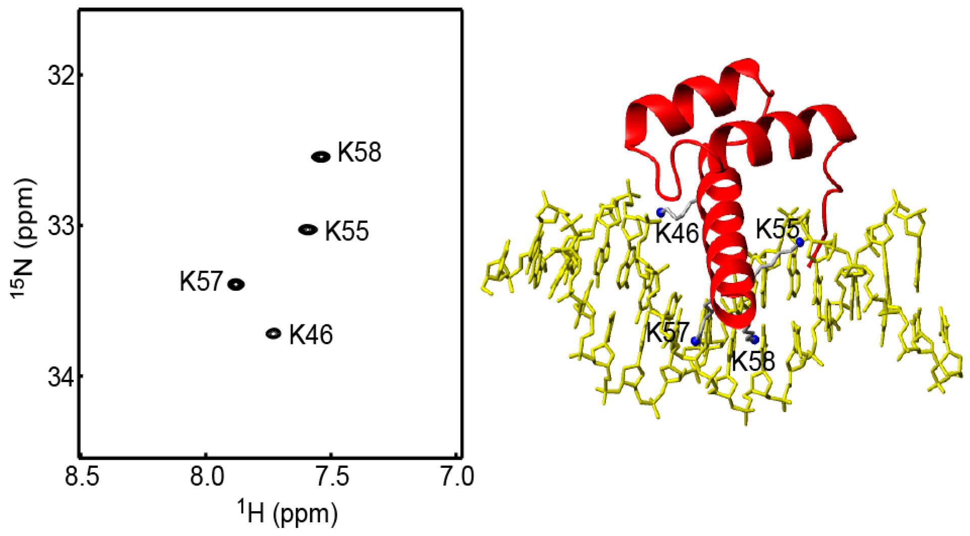 Molecules 22 01355 g002