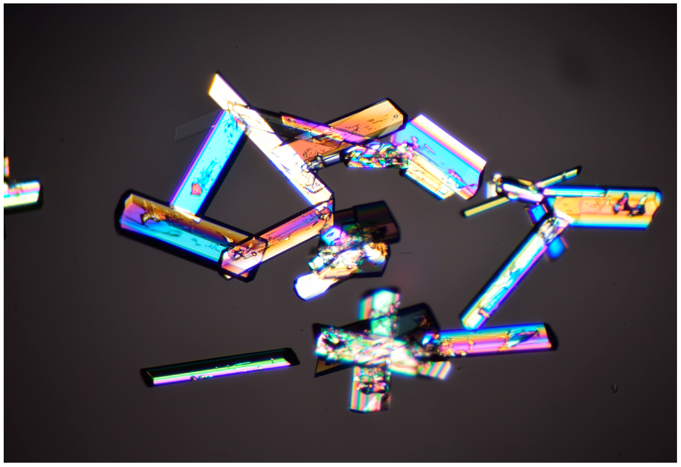 Molecules 22 01362 g004