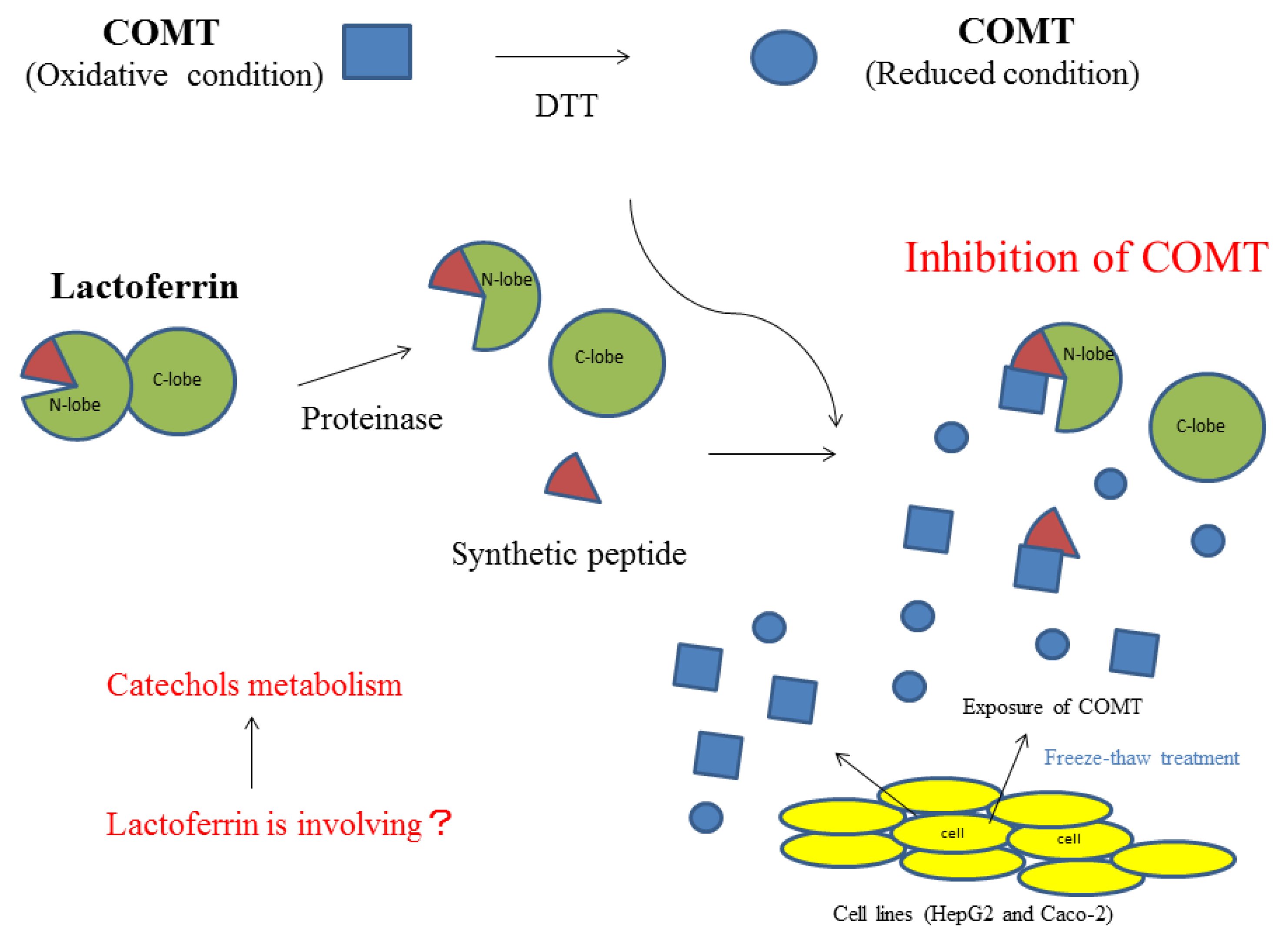 Molecules 22 01373 g005