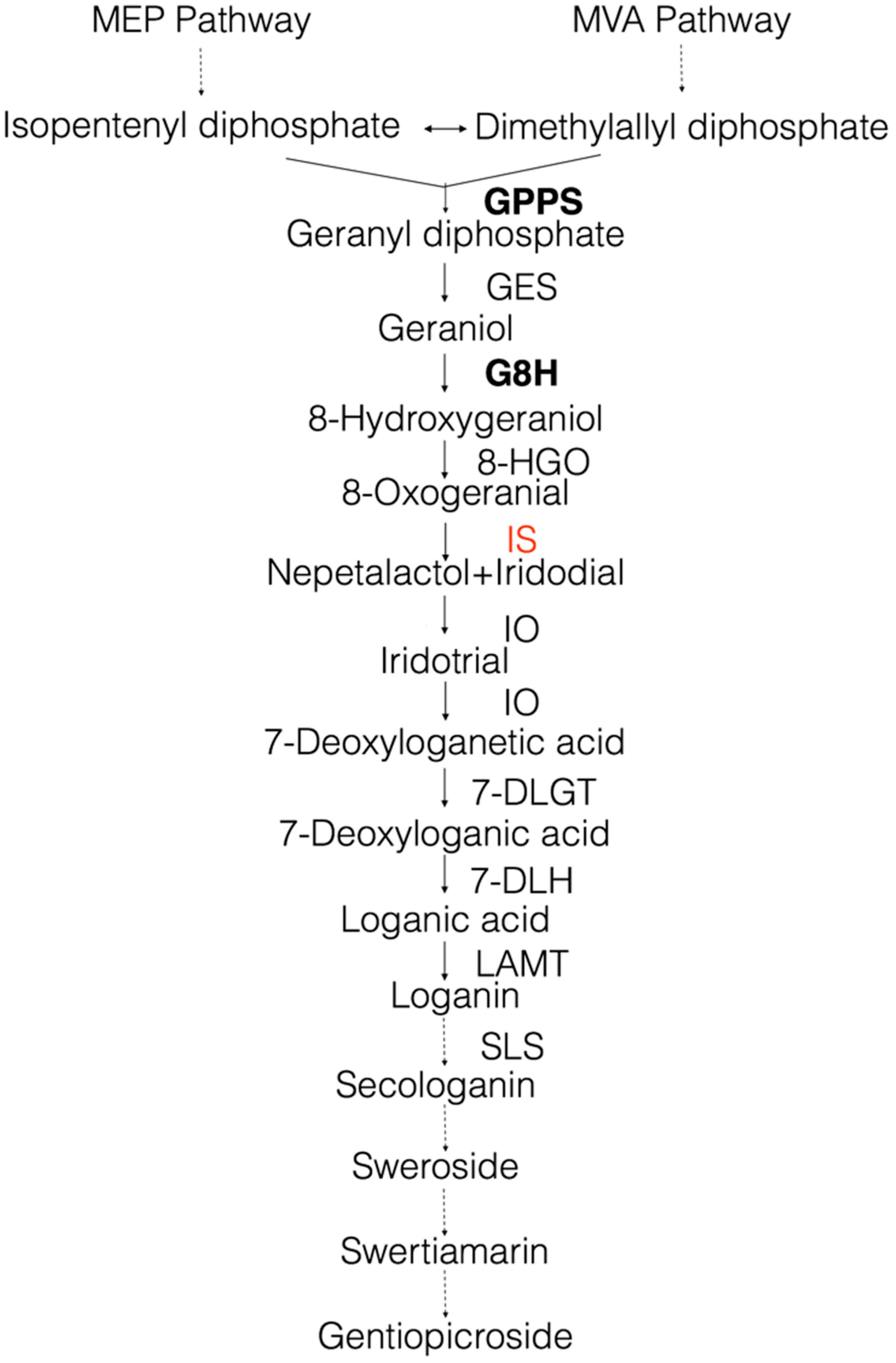Molecules 22 01387 g001
