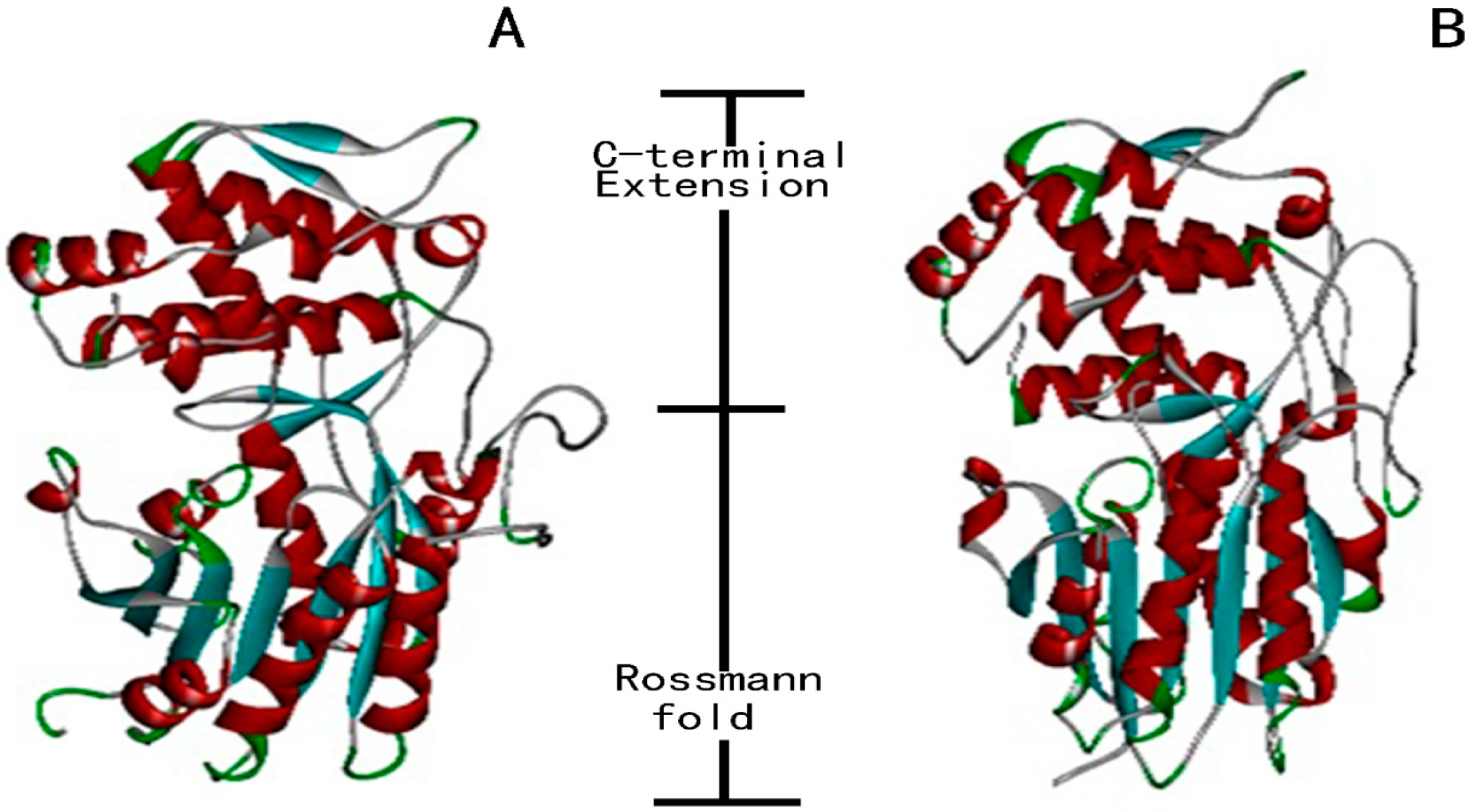 Molecules 22 01387 g003