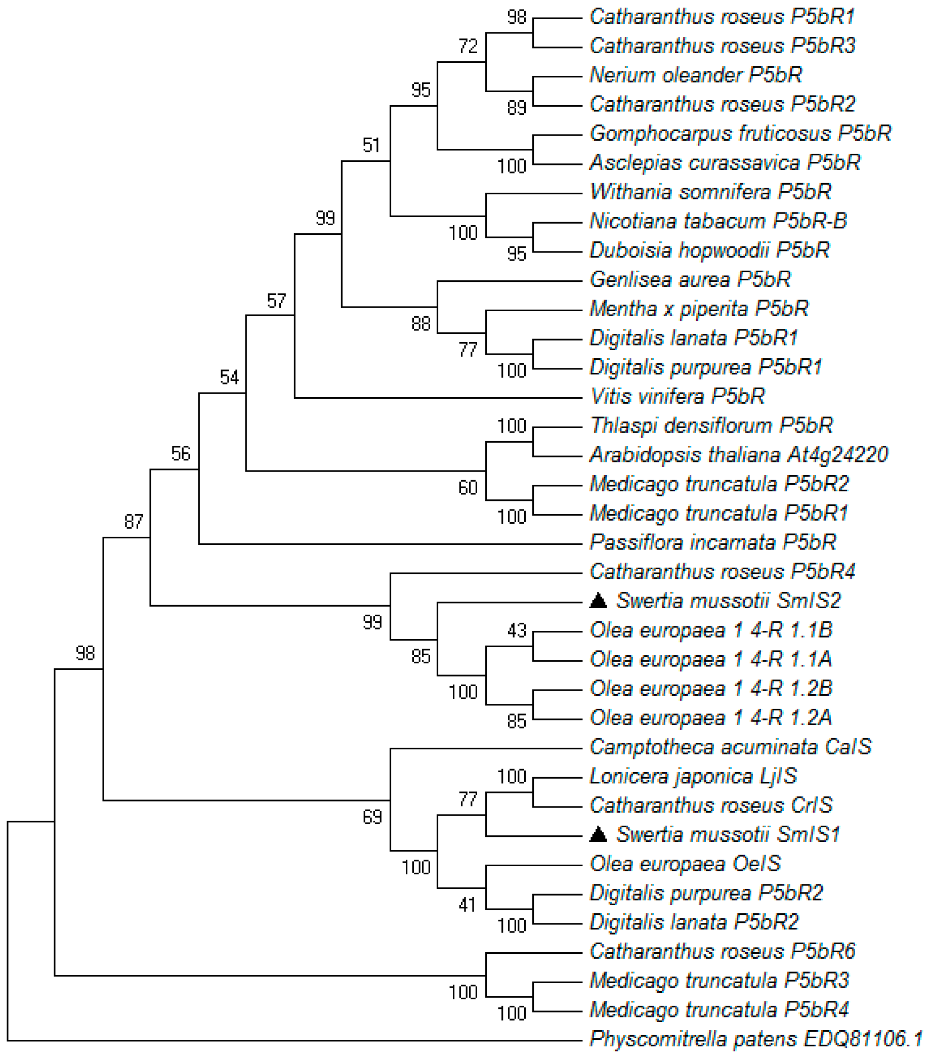 Molecules 22 01387 g004