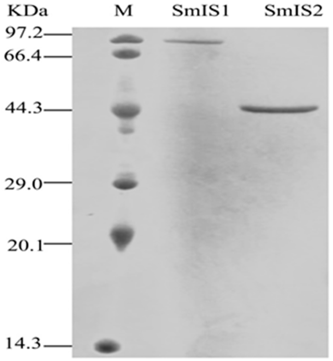 Molecules 22 01387 g005