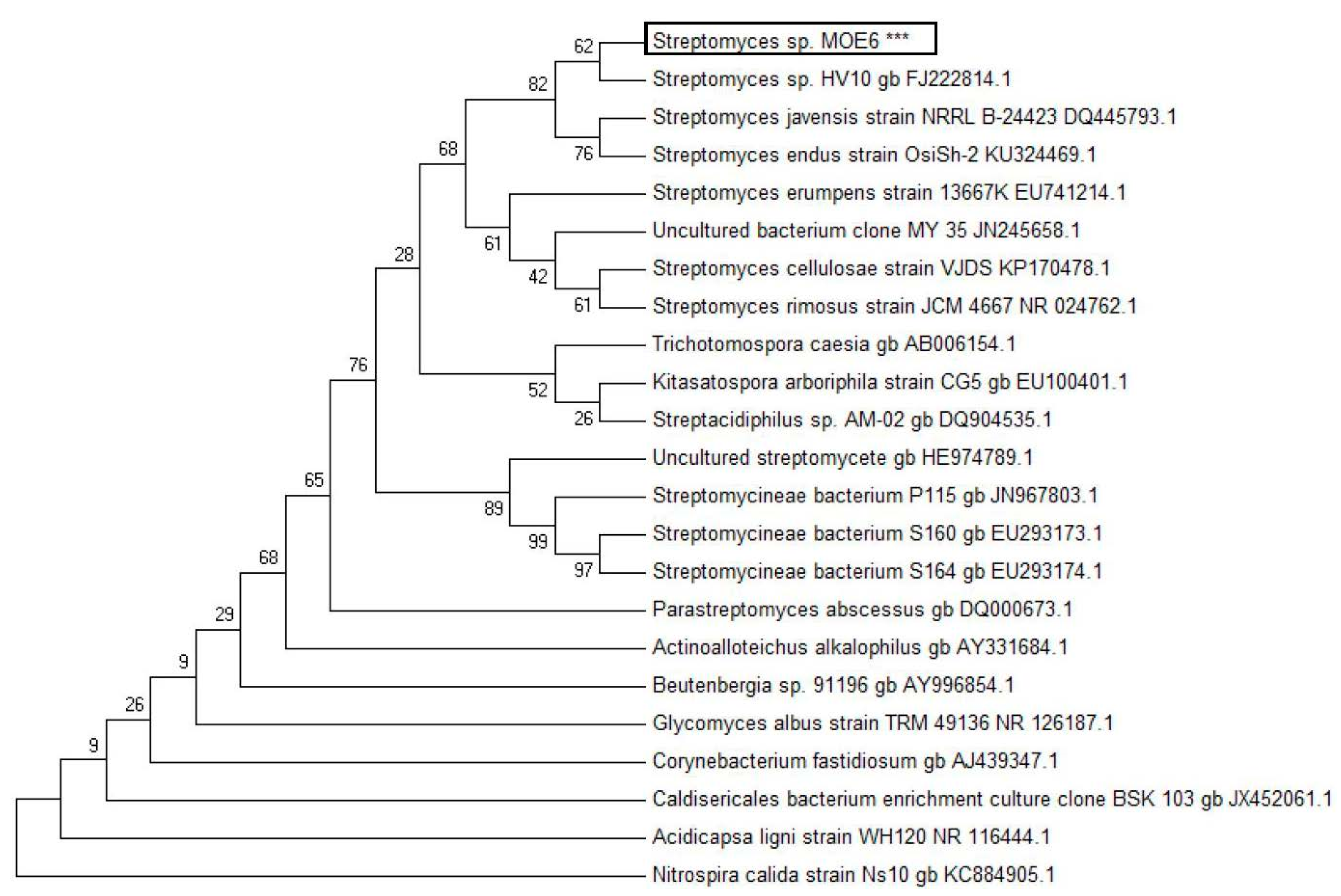 Molecules 22 01396 g001