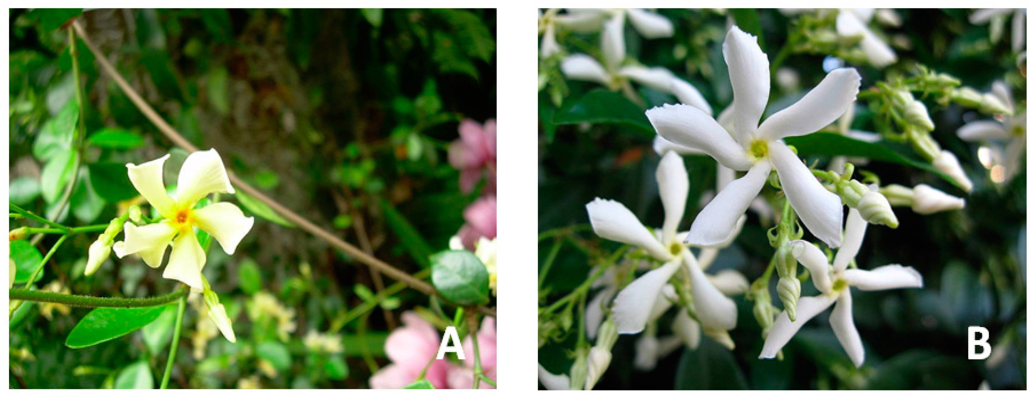 Molecules 22 01406 g001