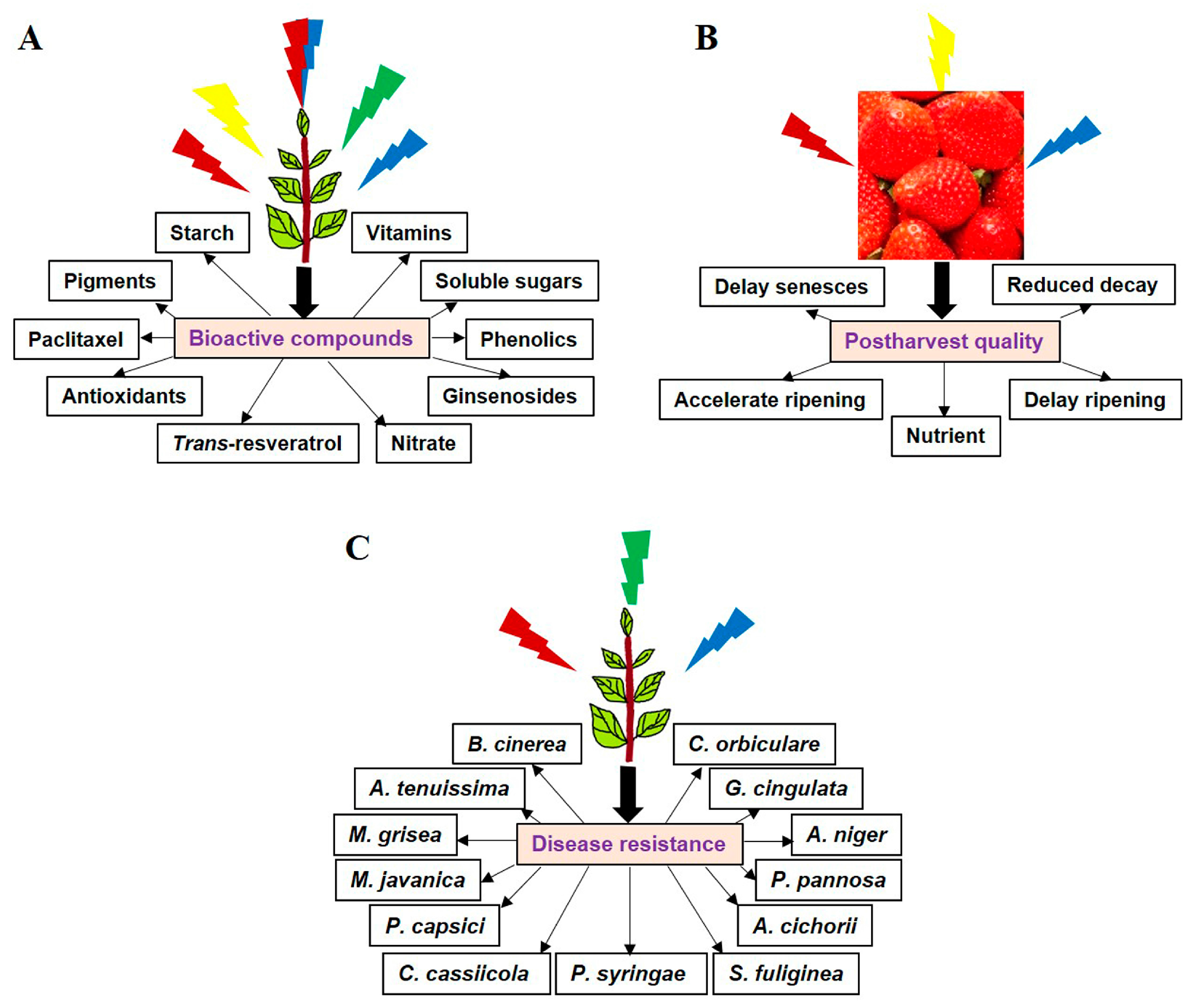 Molecules 22 01420 g001