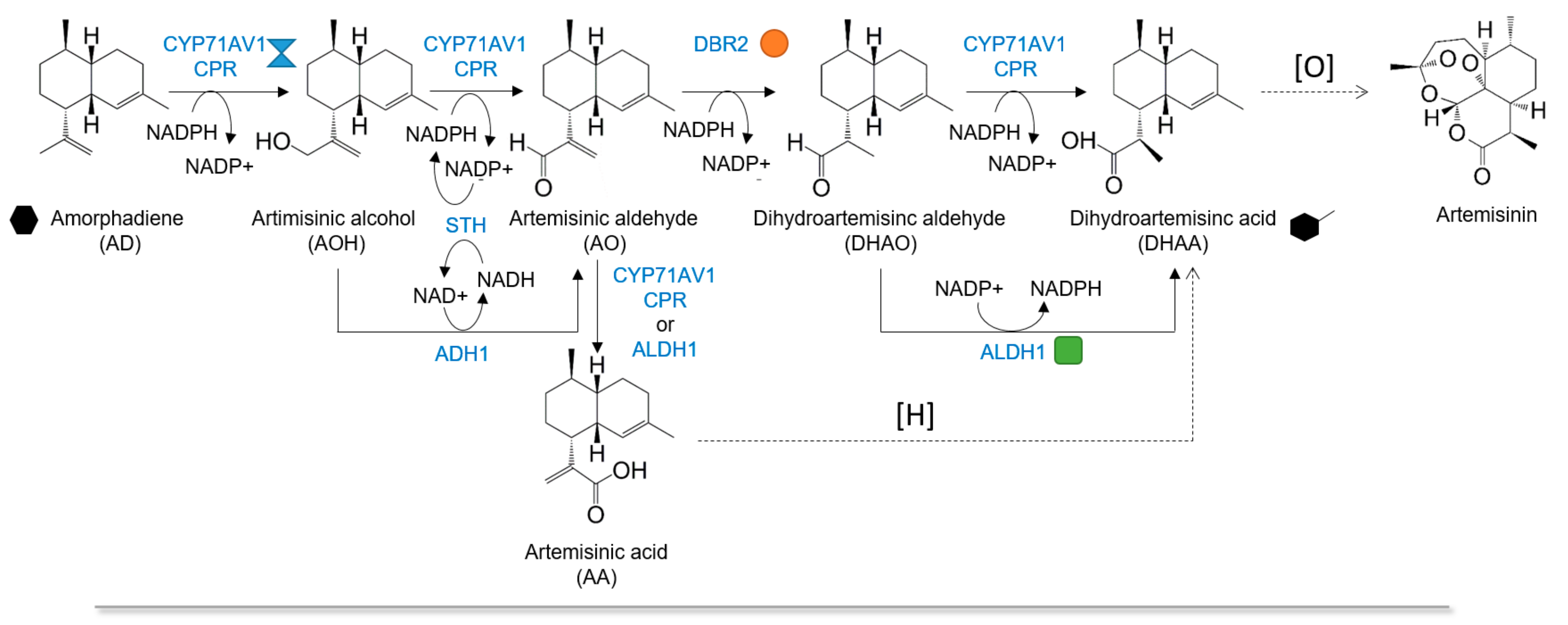 Molecules 22 01422 g001a