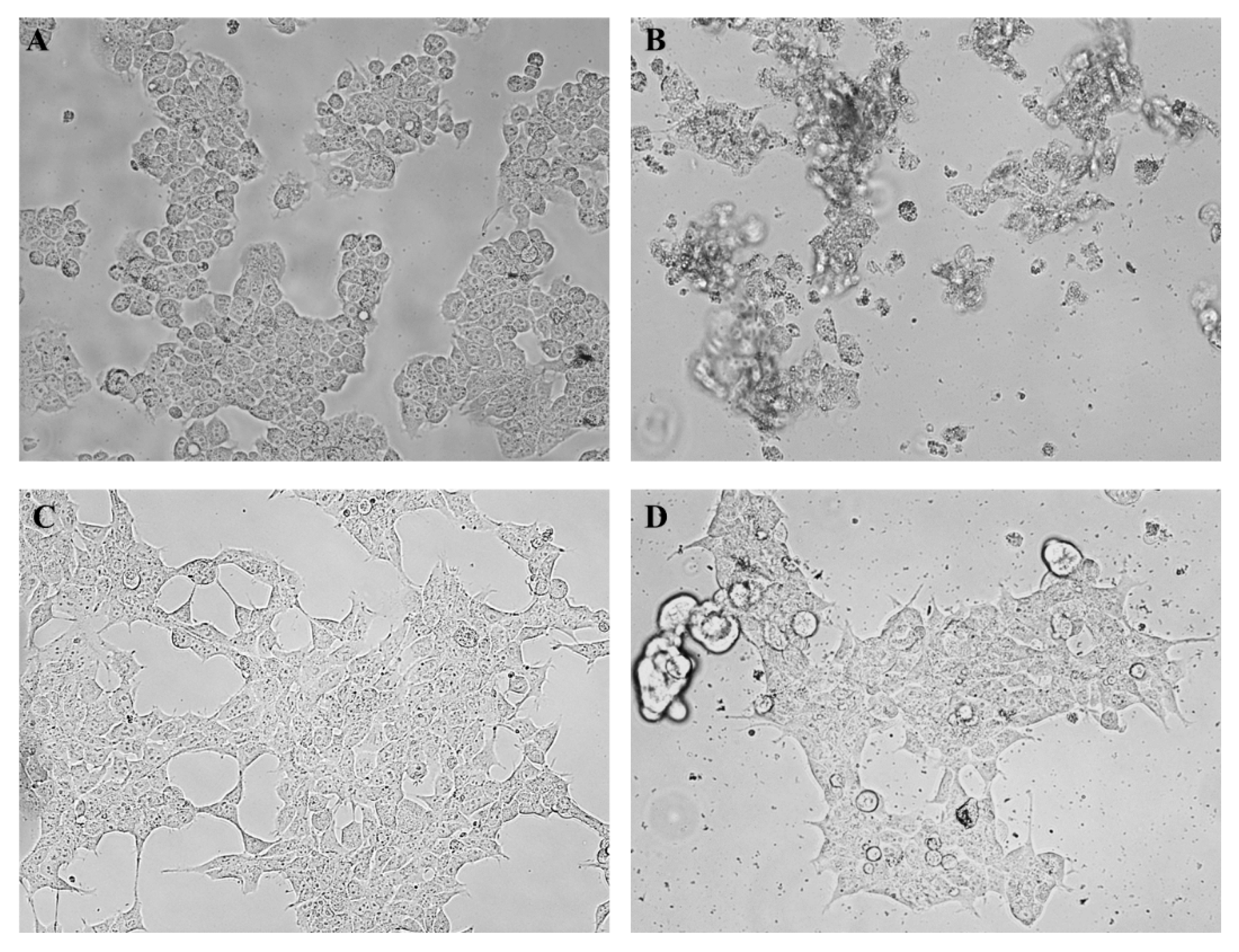 Molecules 22 01435 g002