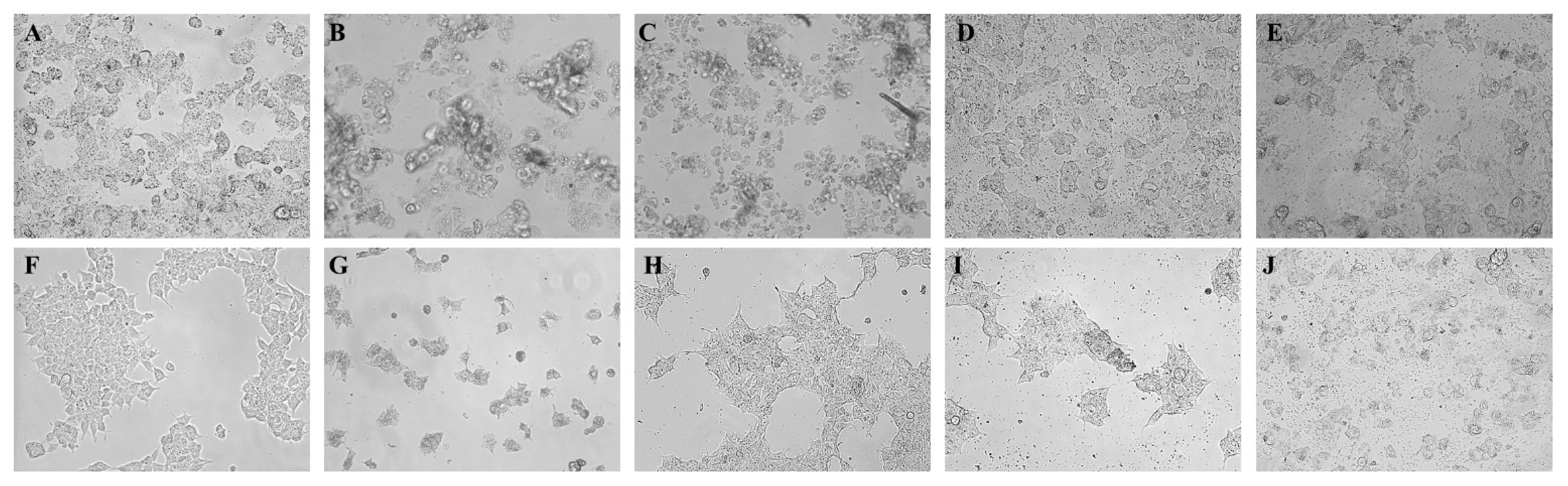 Molecules 22 01435 g005