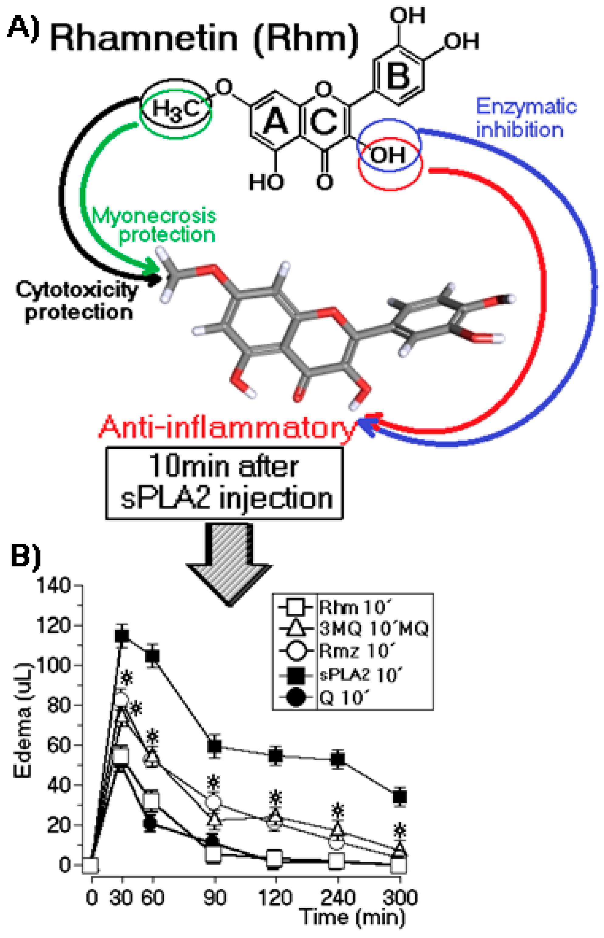 Molecules 22 01441 g003