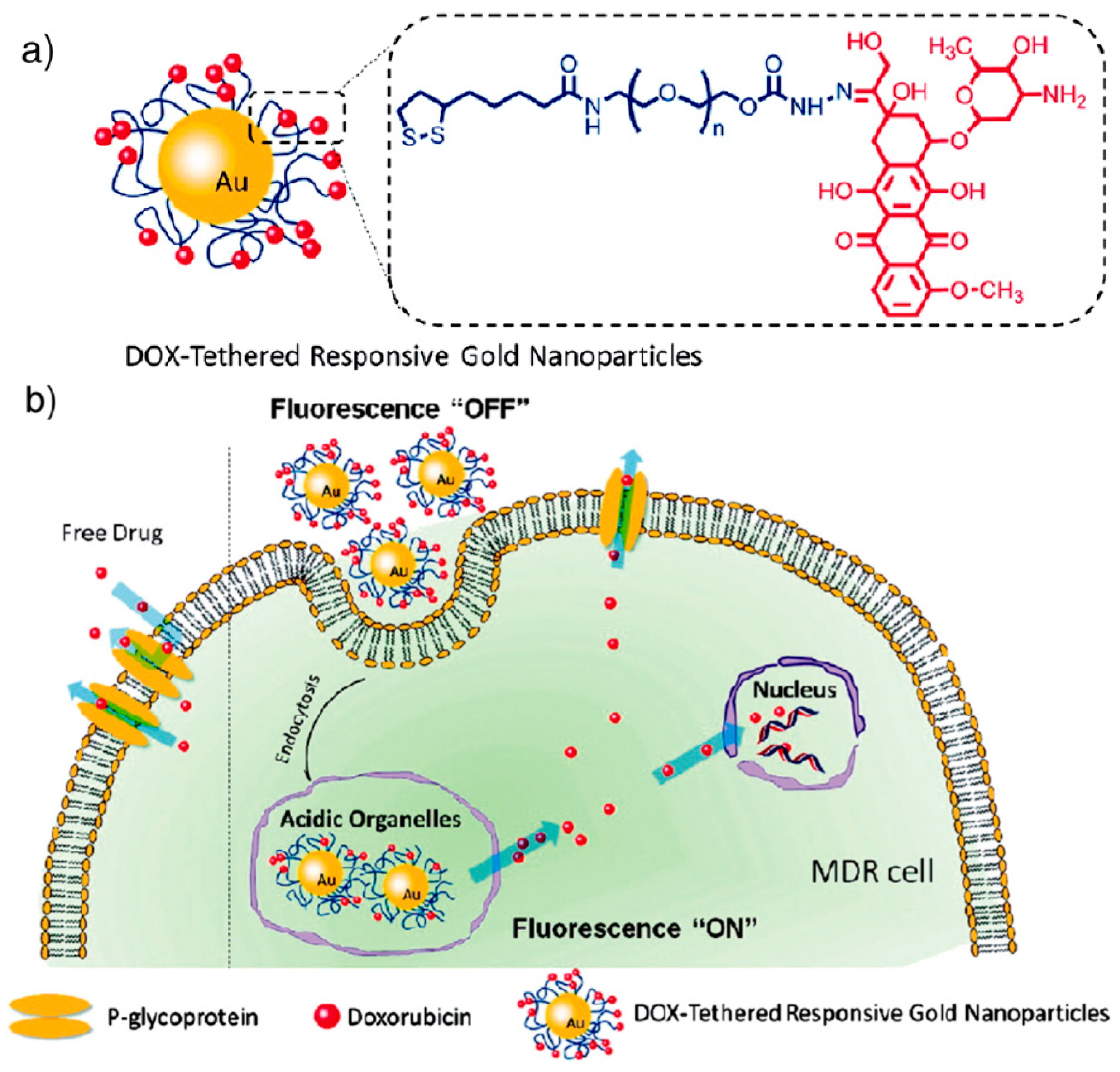 Molecules 22 01445 g001