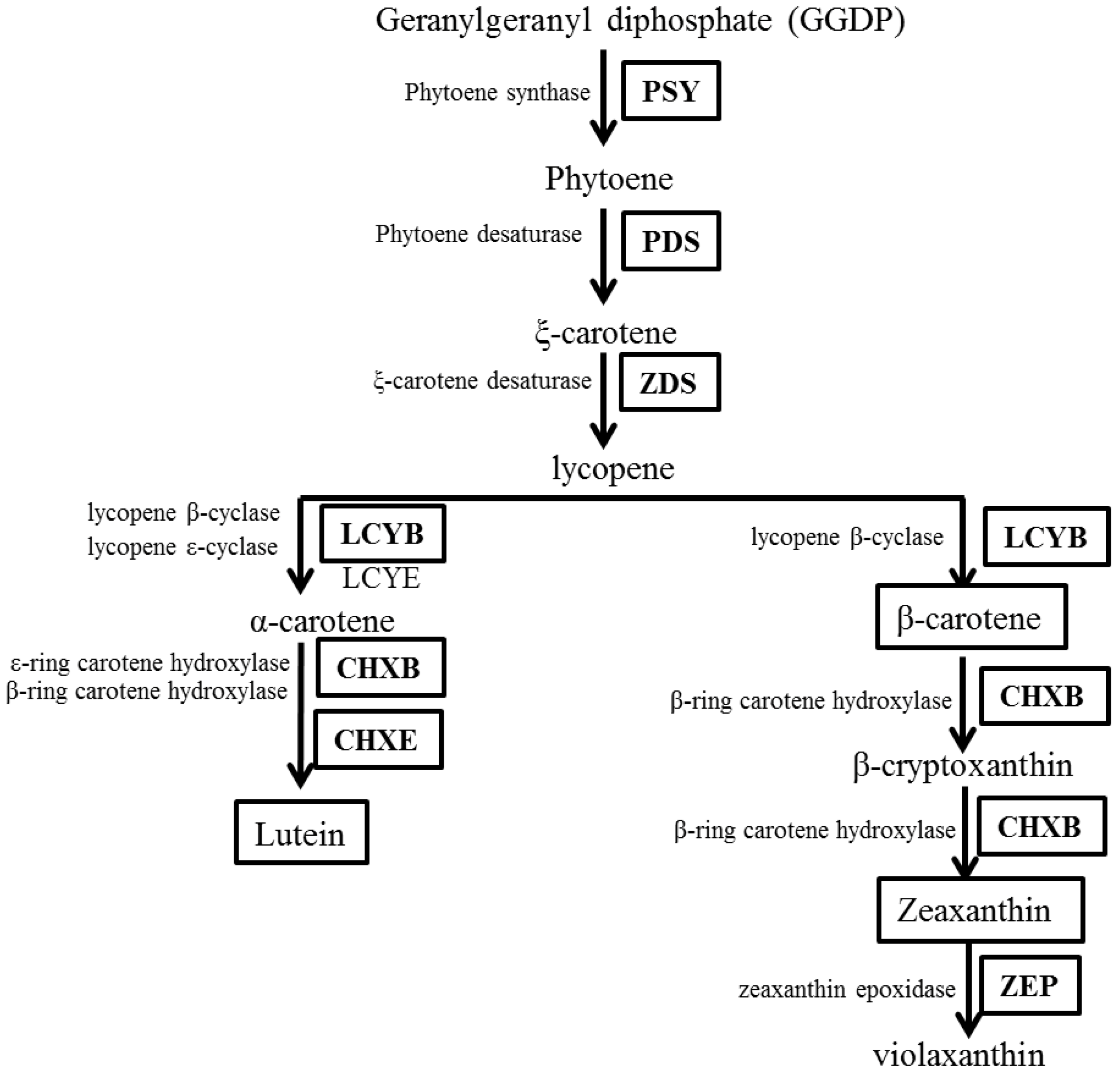 Molecules 22 01449 sch001