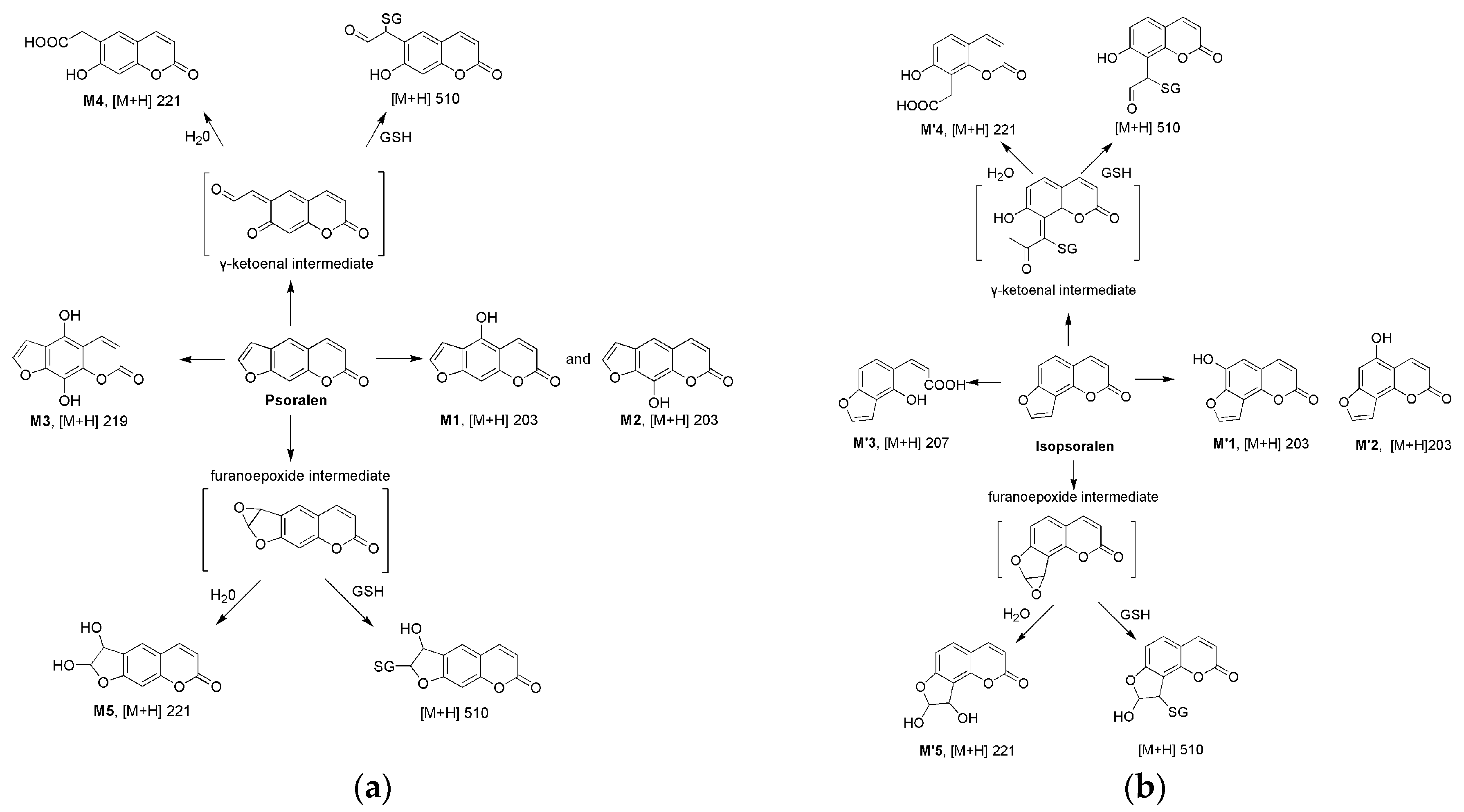 Molecules 22 01451 g002