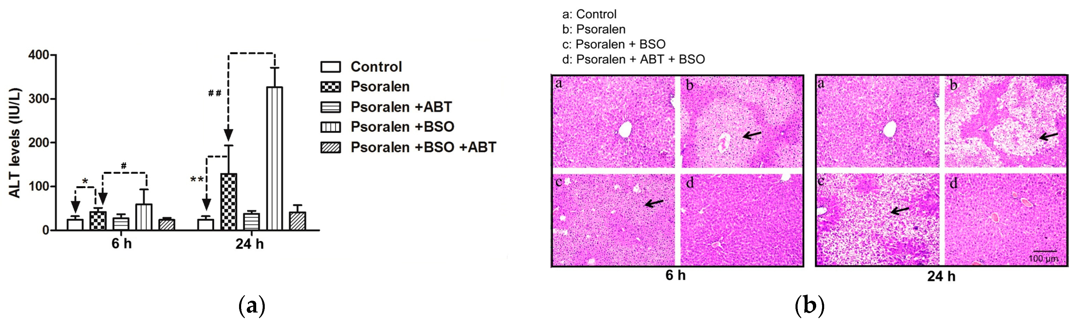Molecules 22 01451 g005