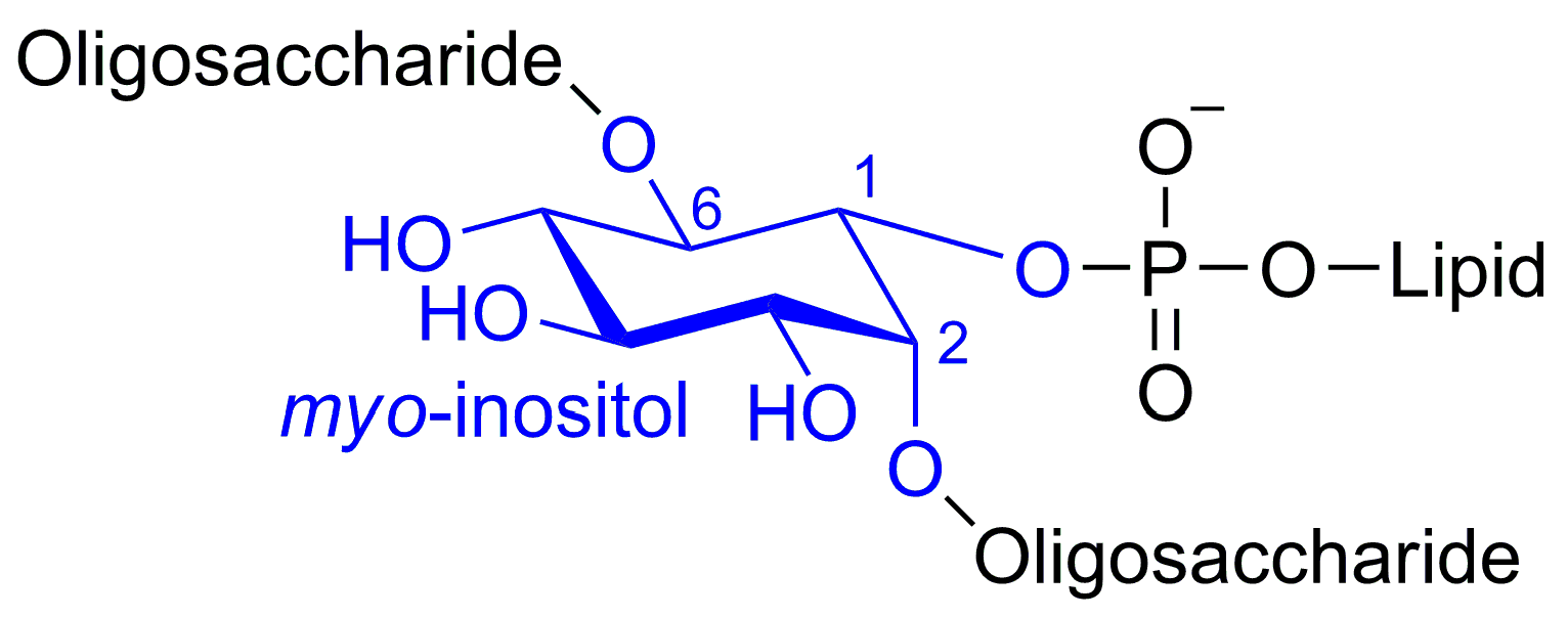 Molecules 22 01455 g001 Molecules 22 01455 g001