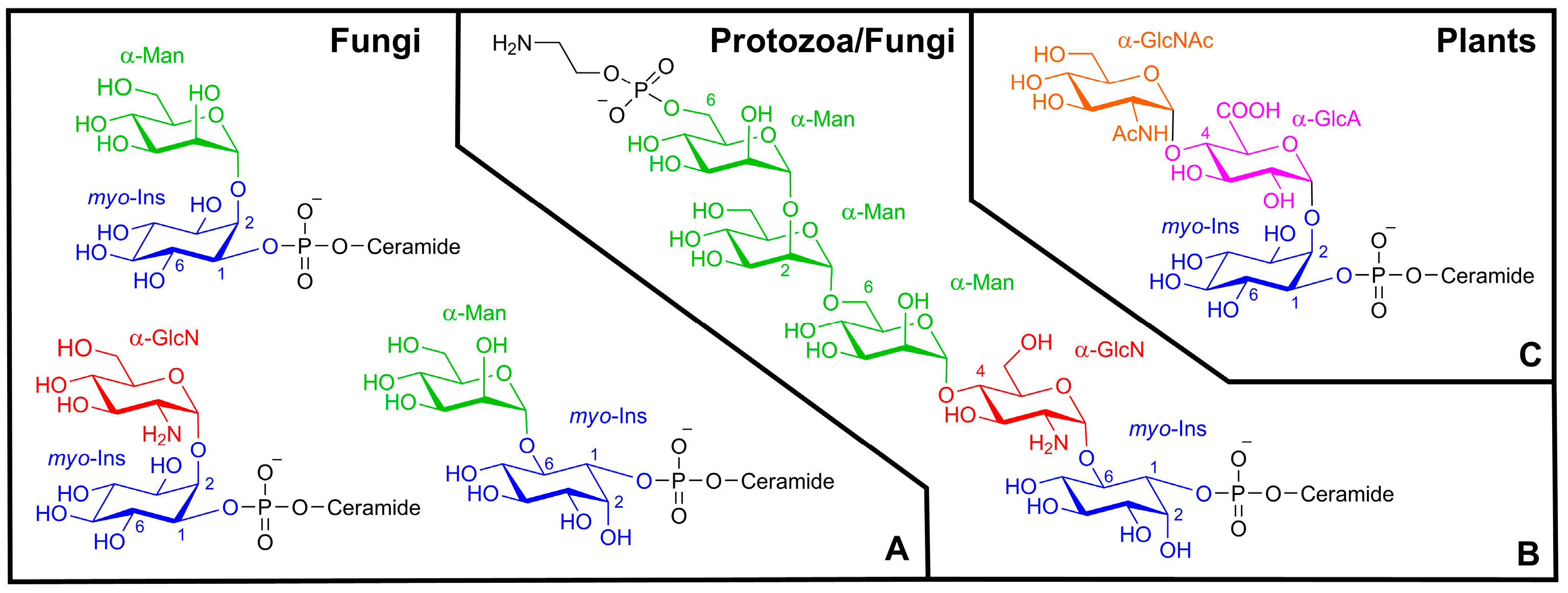 Molecules 22 01455 g003 Molecules 22 01455 g003