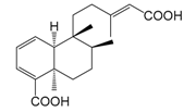 Molecules 22 01466 i057