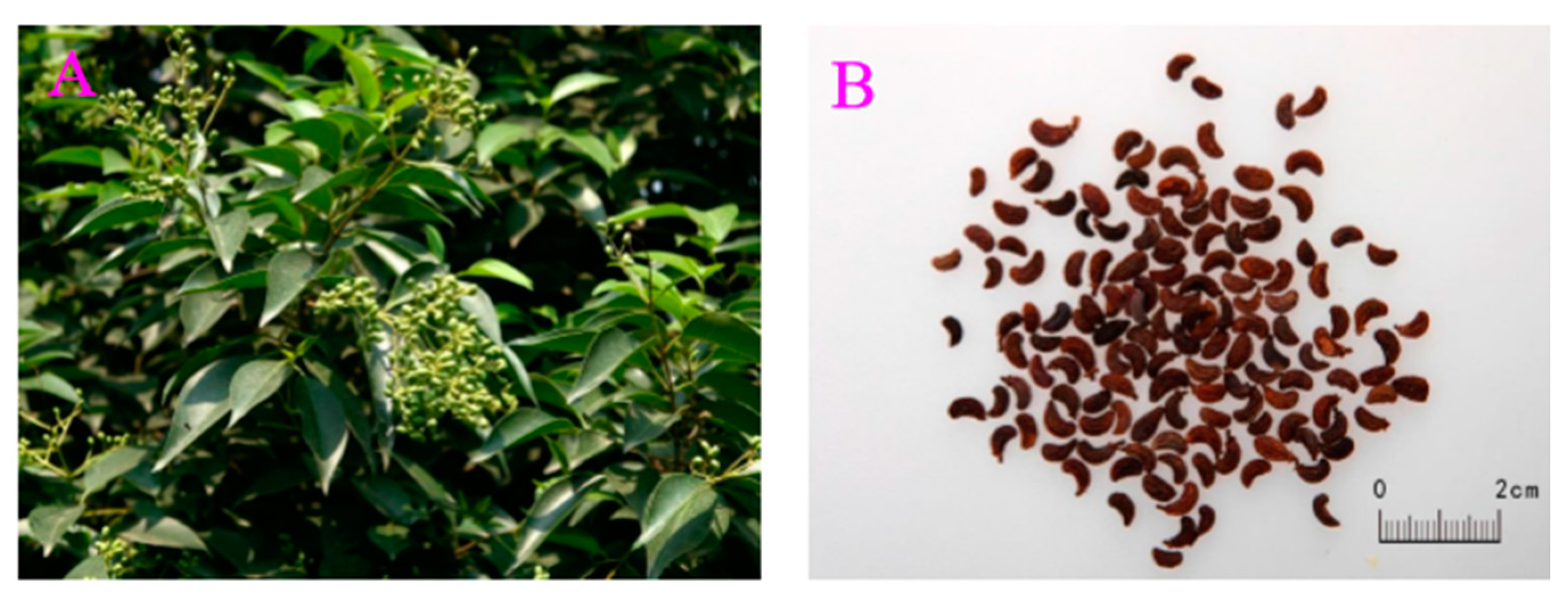 Molecules 22 01469 g001