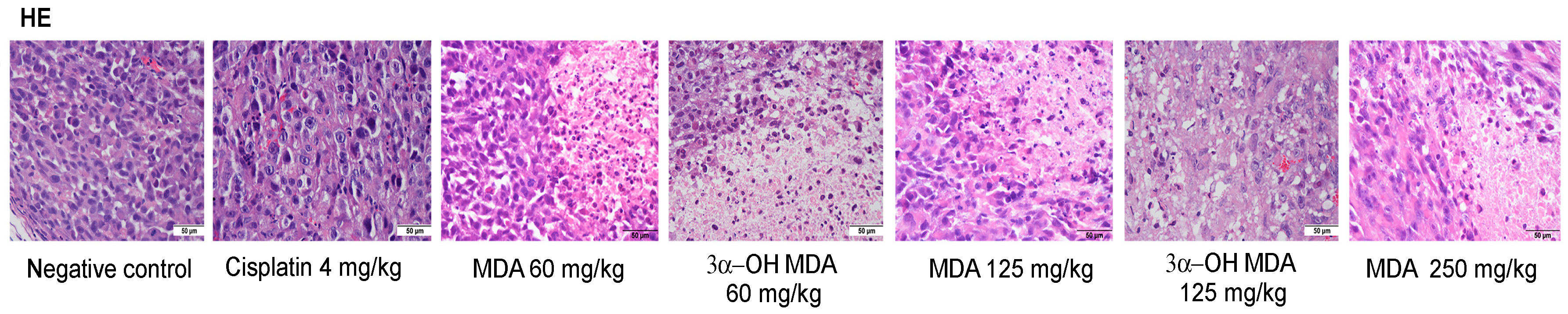 Molecules 22 01479 g003