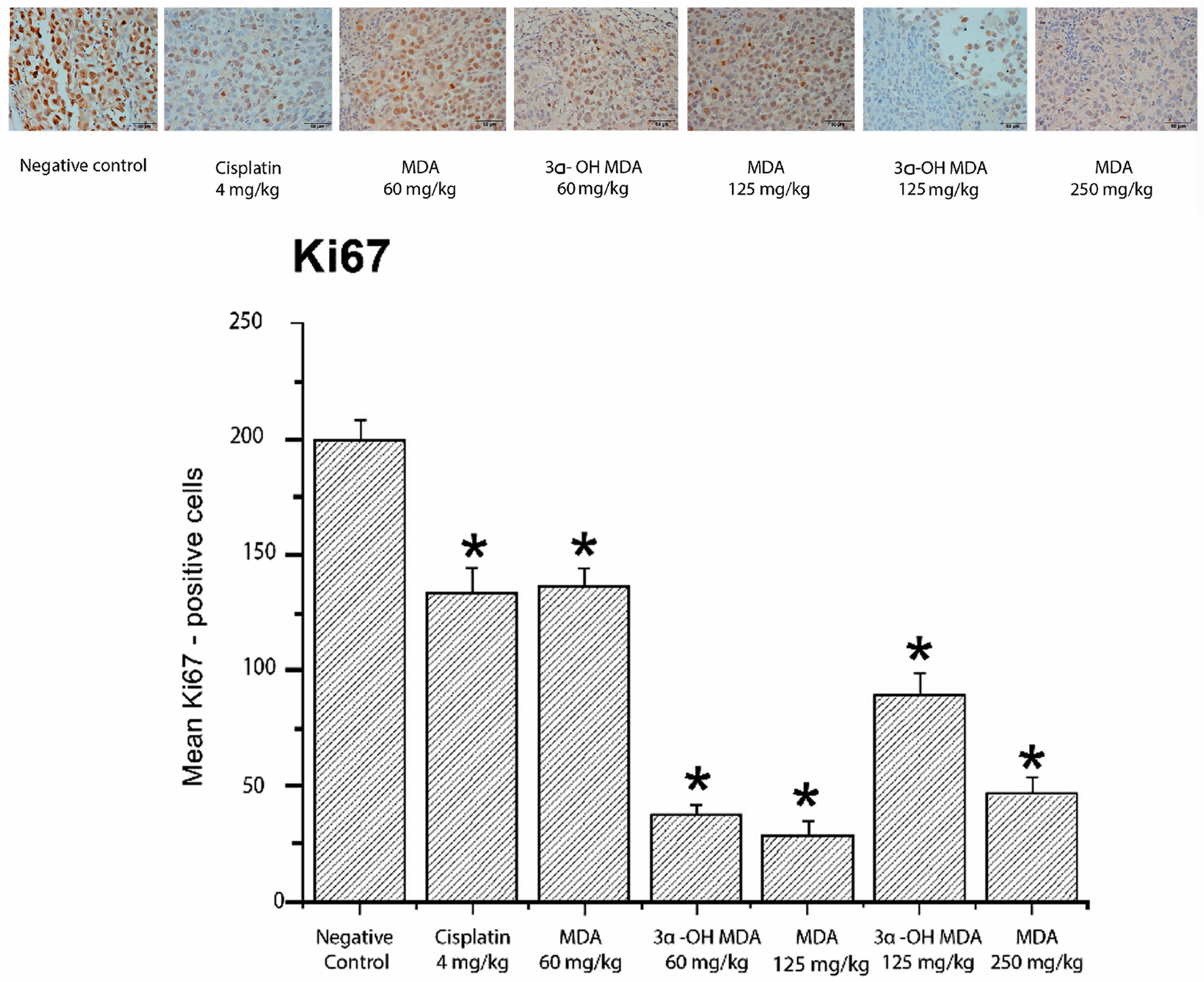 Molecules 22 01479 g005