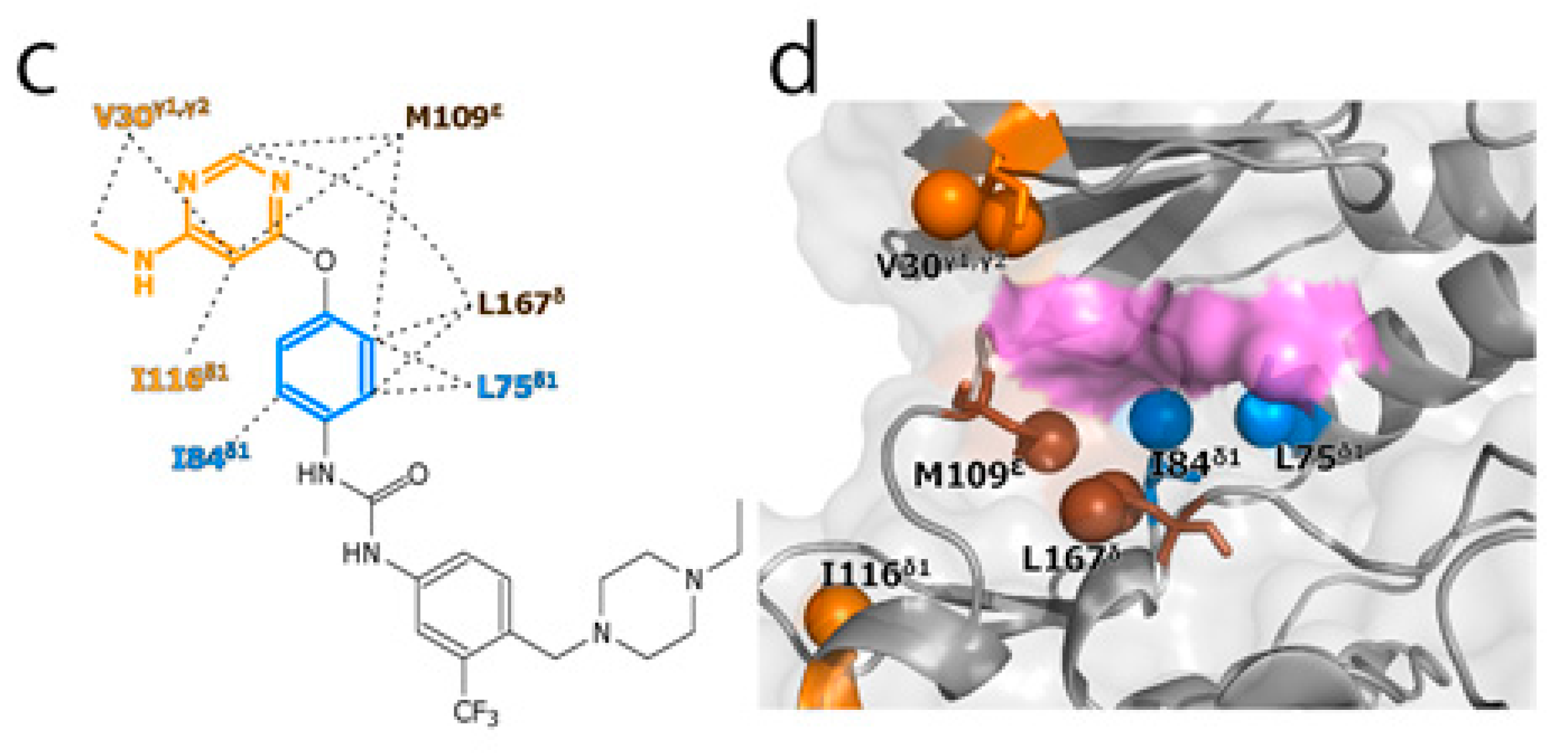 Molecules 22 01492 g002b