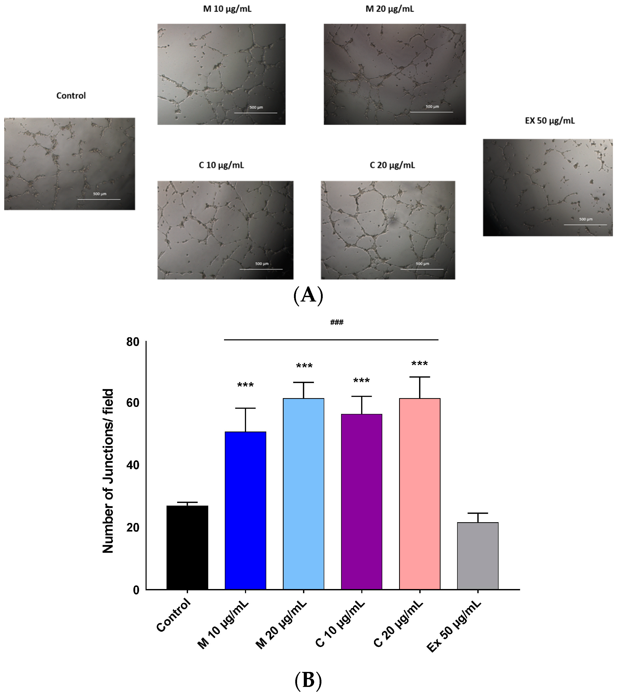 Molecules 22 01501 g005