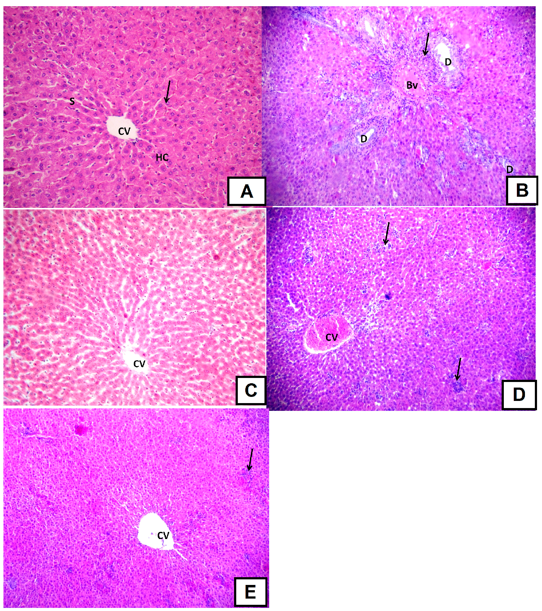 Molecules 22 01502 g006