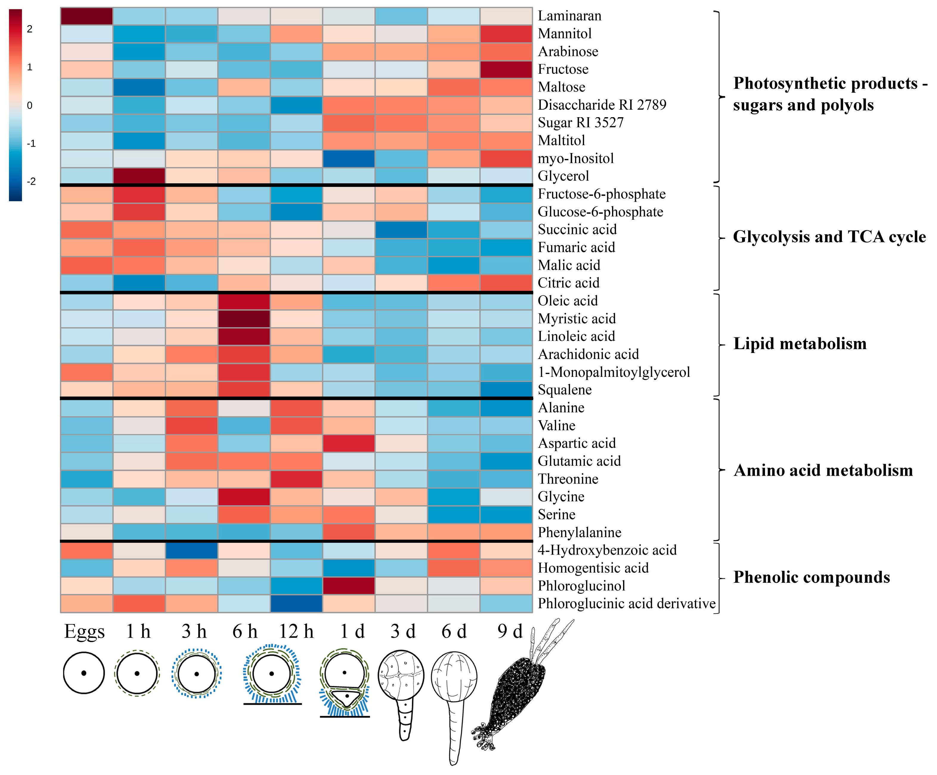 Molecules 22 01509 g003