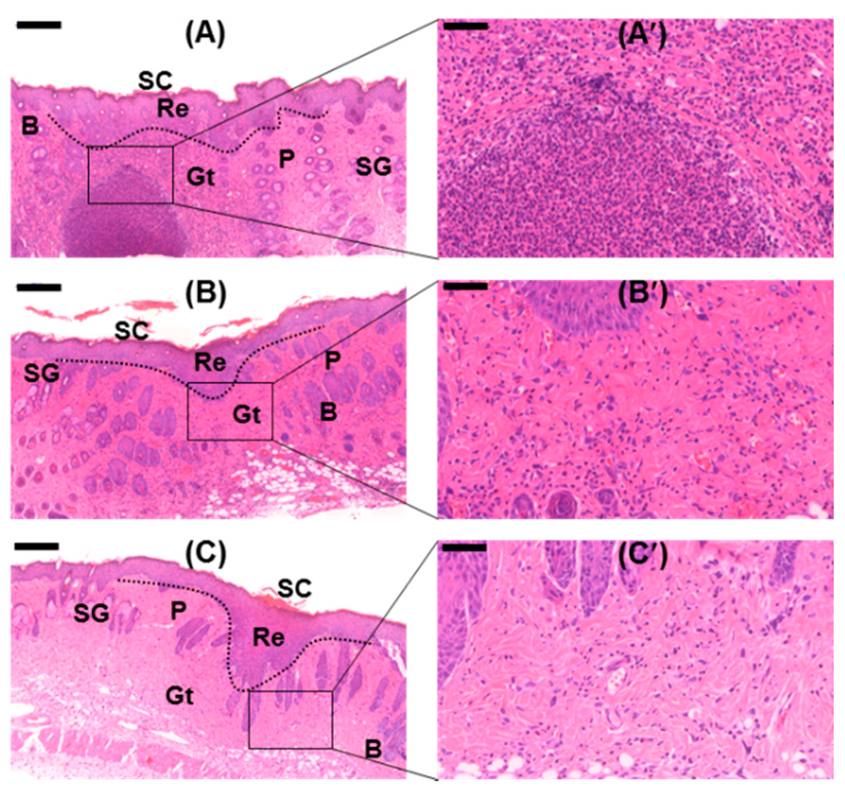 Molecules 22 01513 g013