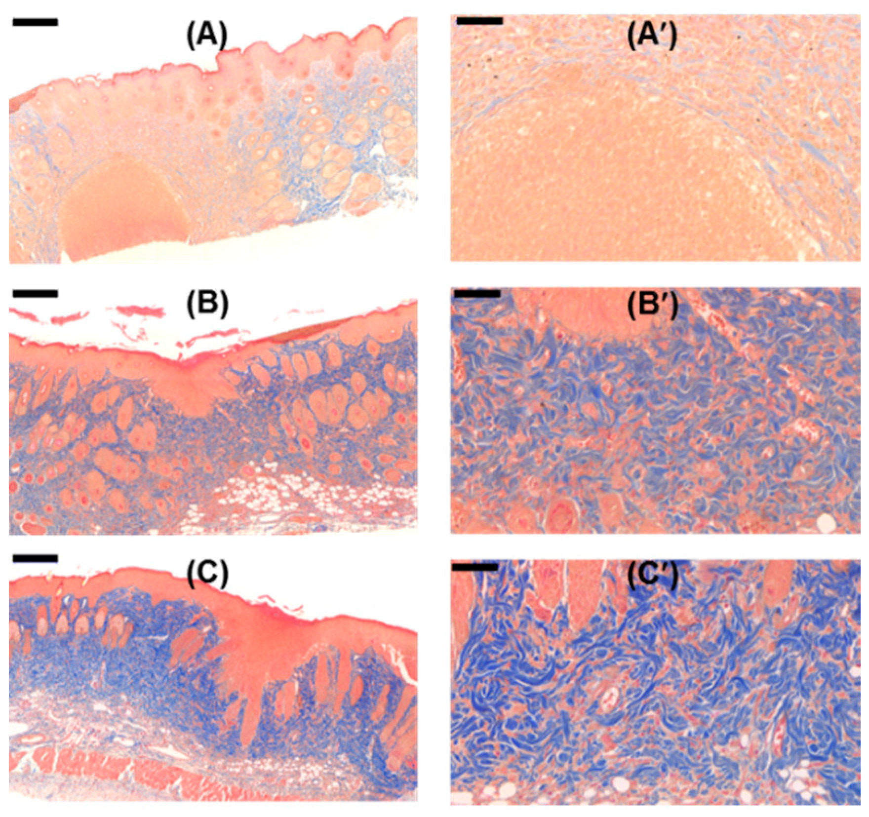 Molecules 22 01513 g014