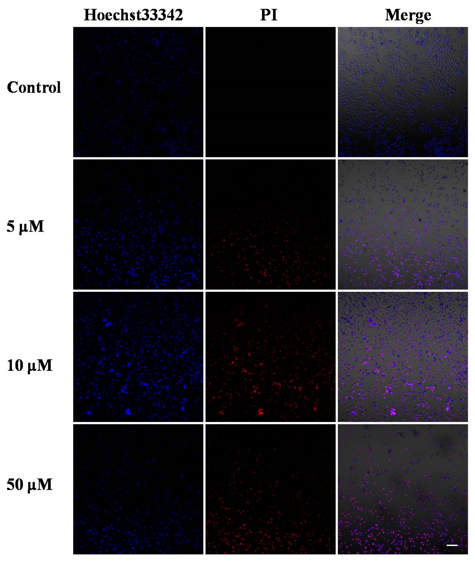 Molecules 22 01535 g002 Molecules 22 01535 g002