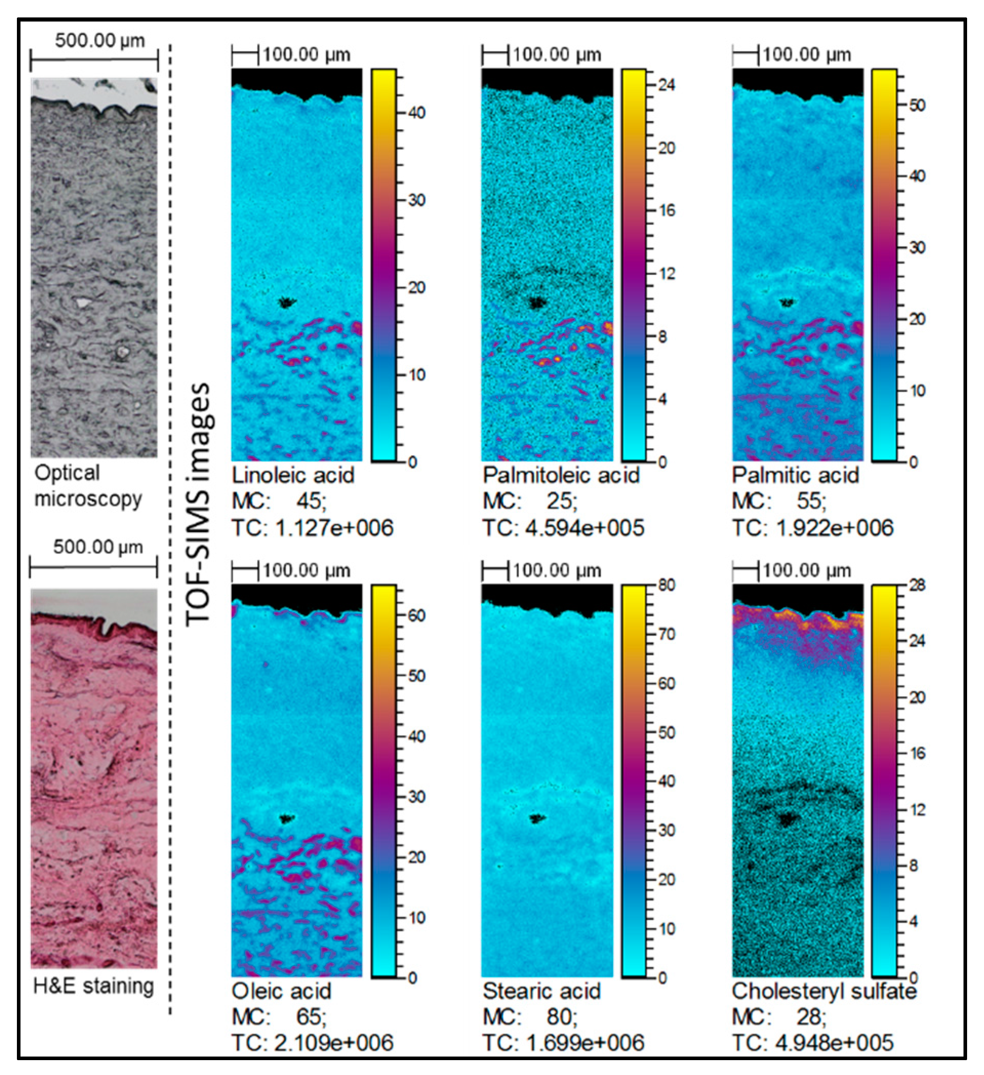 Molecules 22 01536 g003 Molecules 22 01536 g003