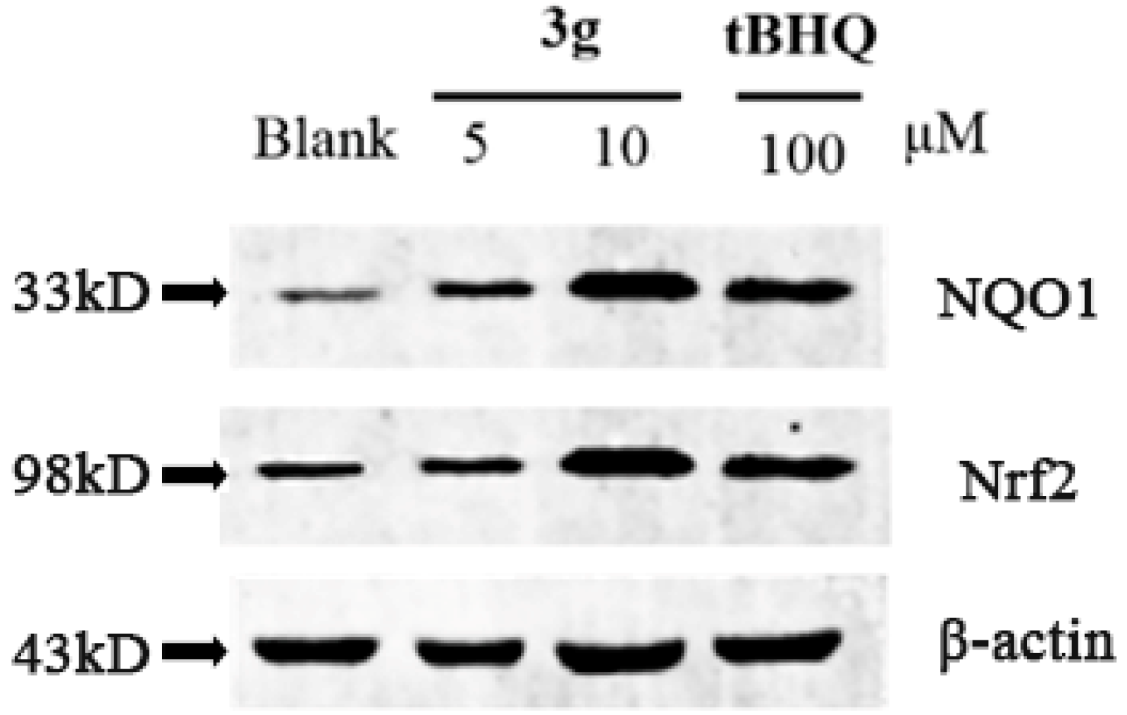 Molecules 22 01541 g002