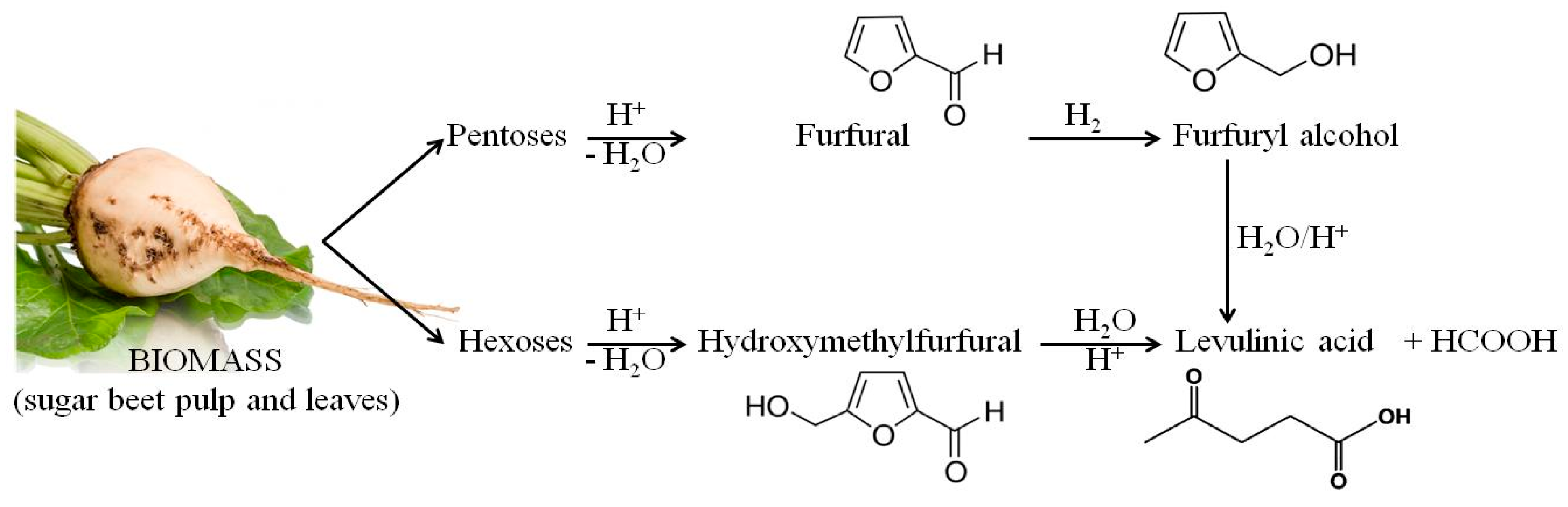 Molecules 22 01544 g006