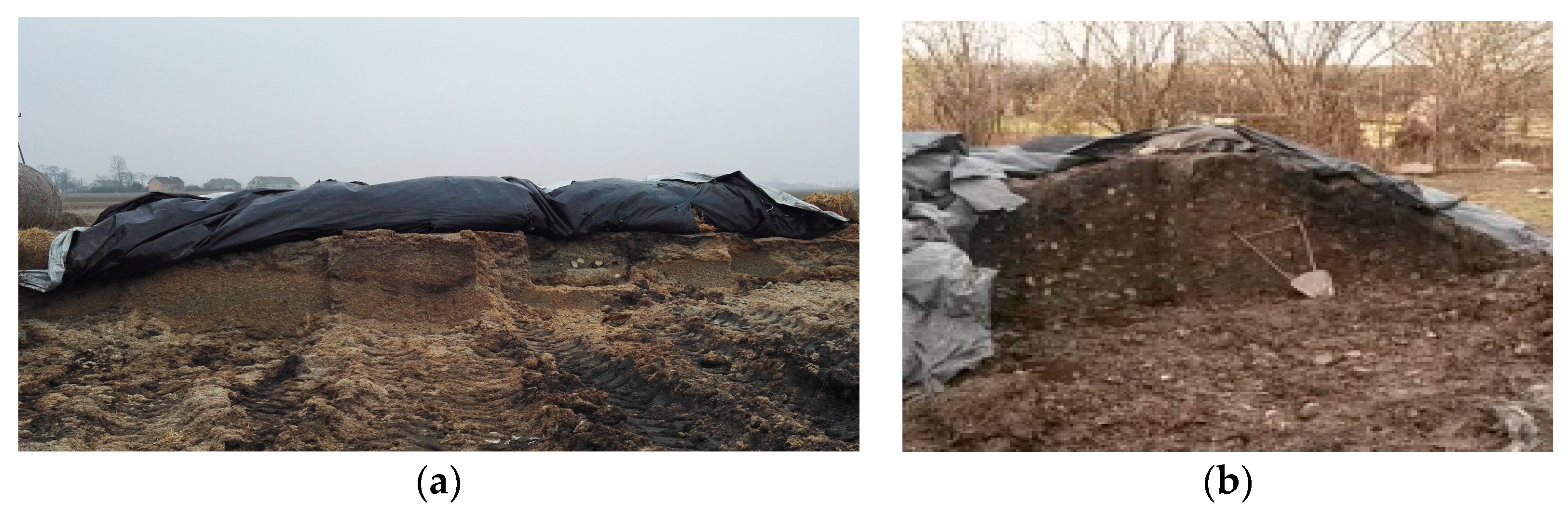 Molecules 22 01544 g009