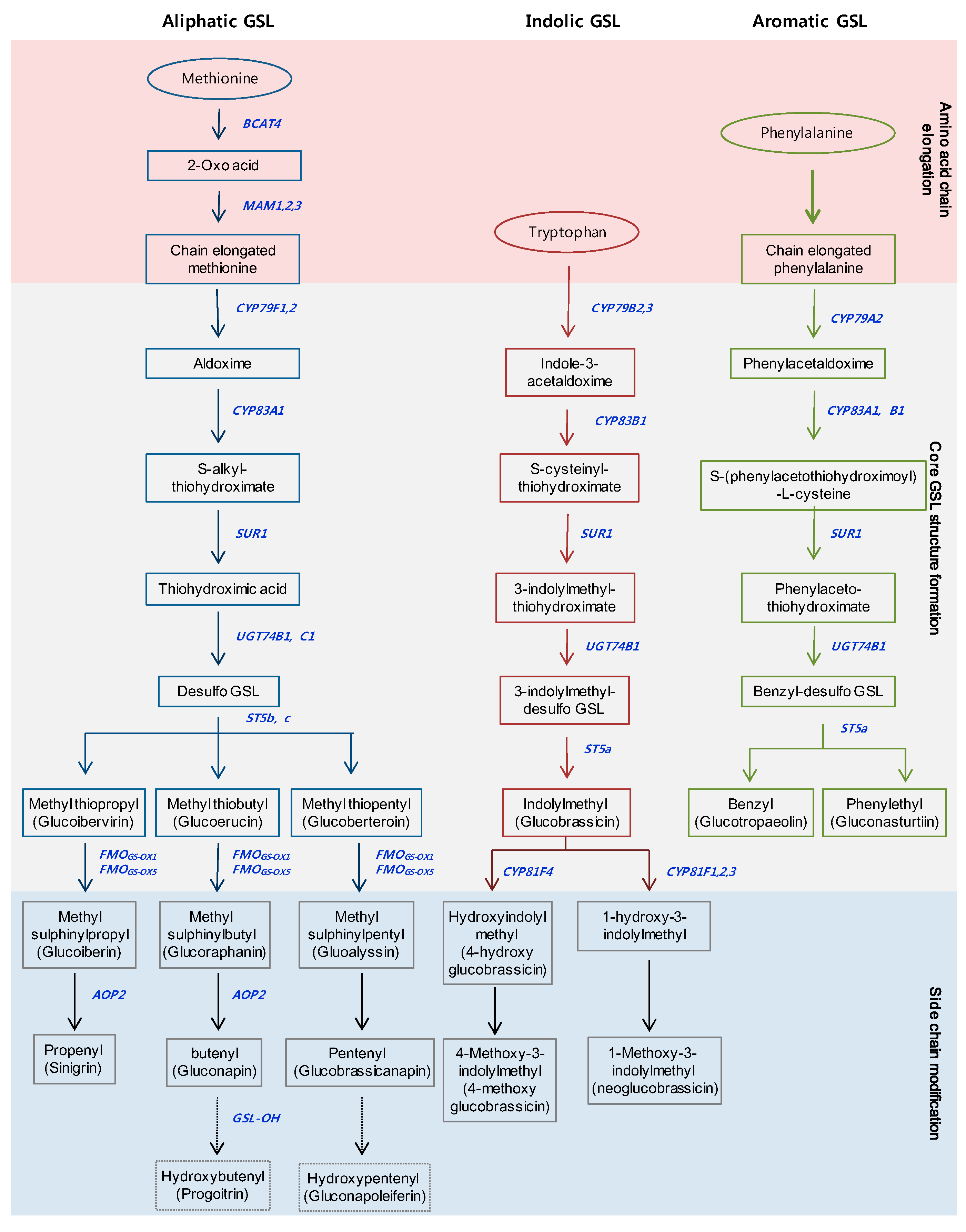 Molecules 22 01549 g001
