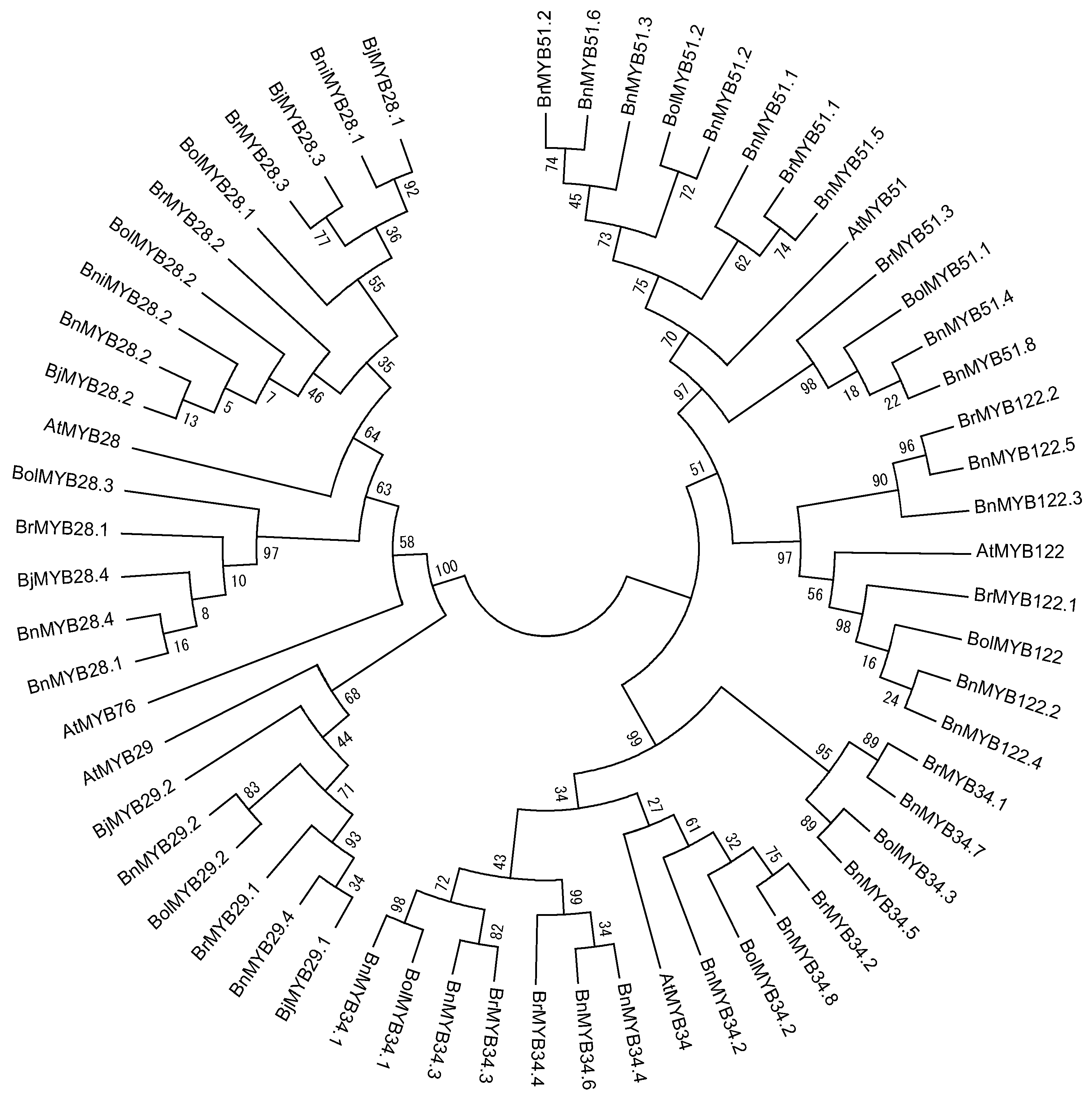 Molecules 22 01549 g003