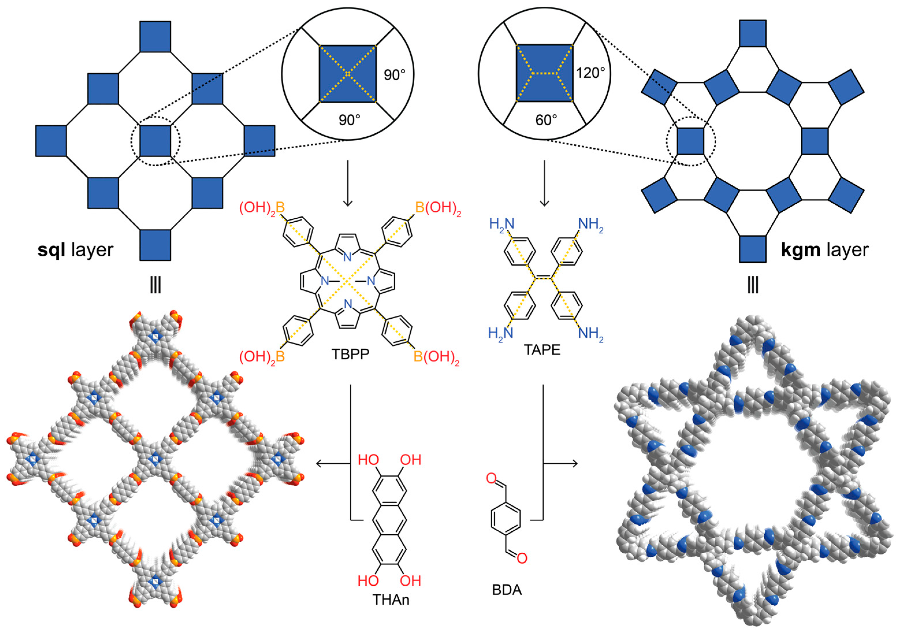 Molecules 22 01575 g002