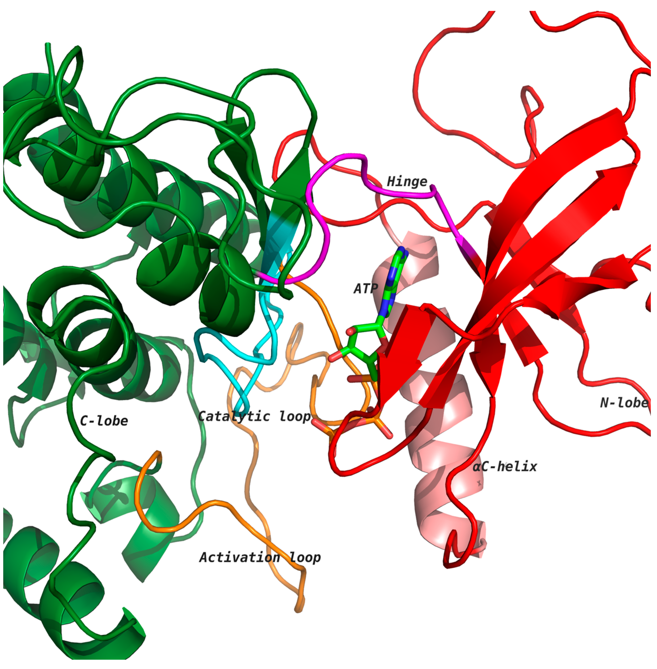 Molecules 22 01576 g001 Molecules 22 01576 g001