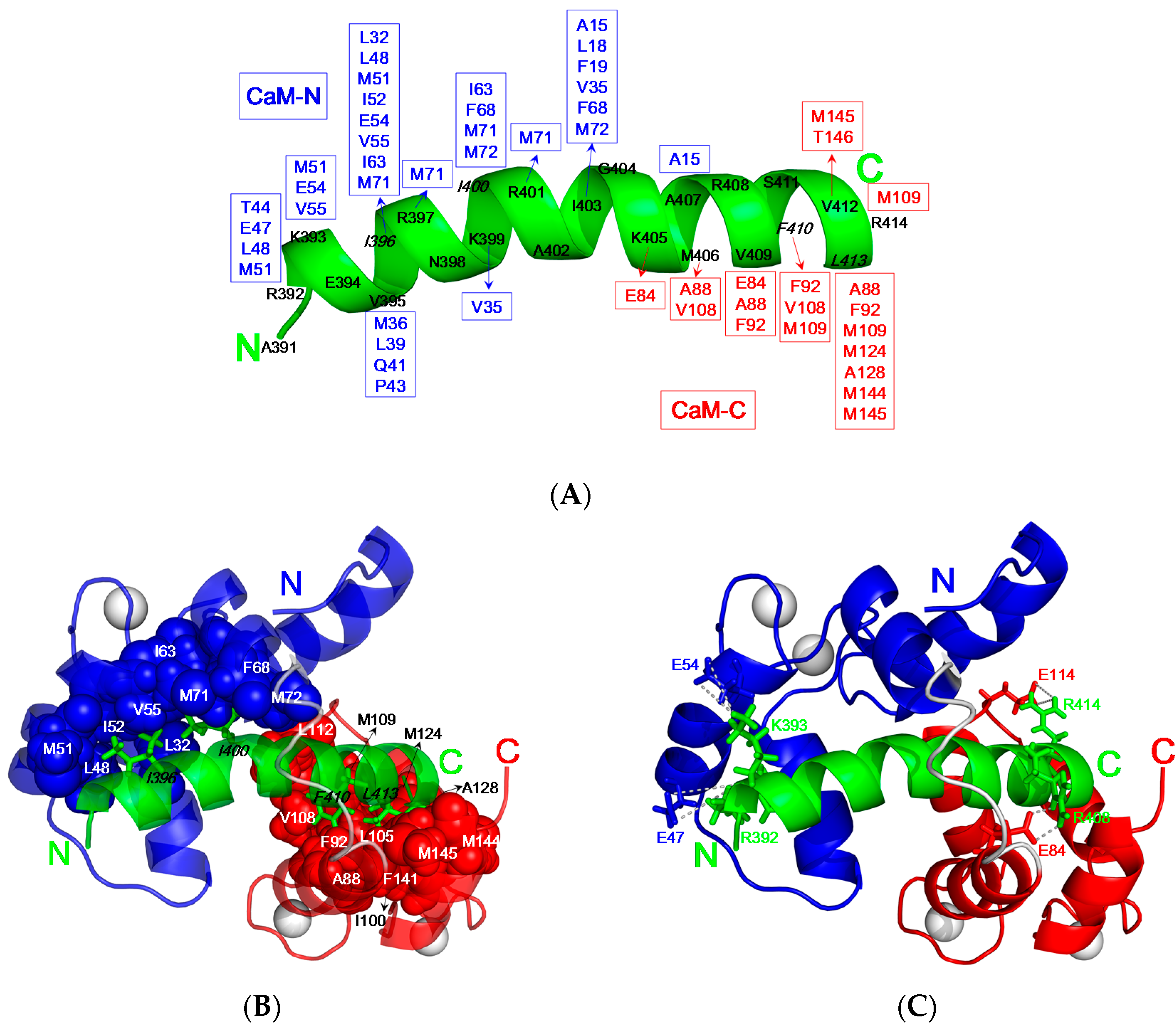 Molecules 22 01584 g006 Molecules 22 01584 g006