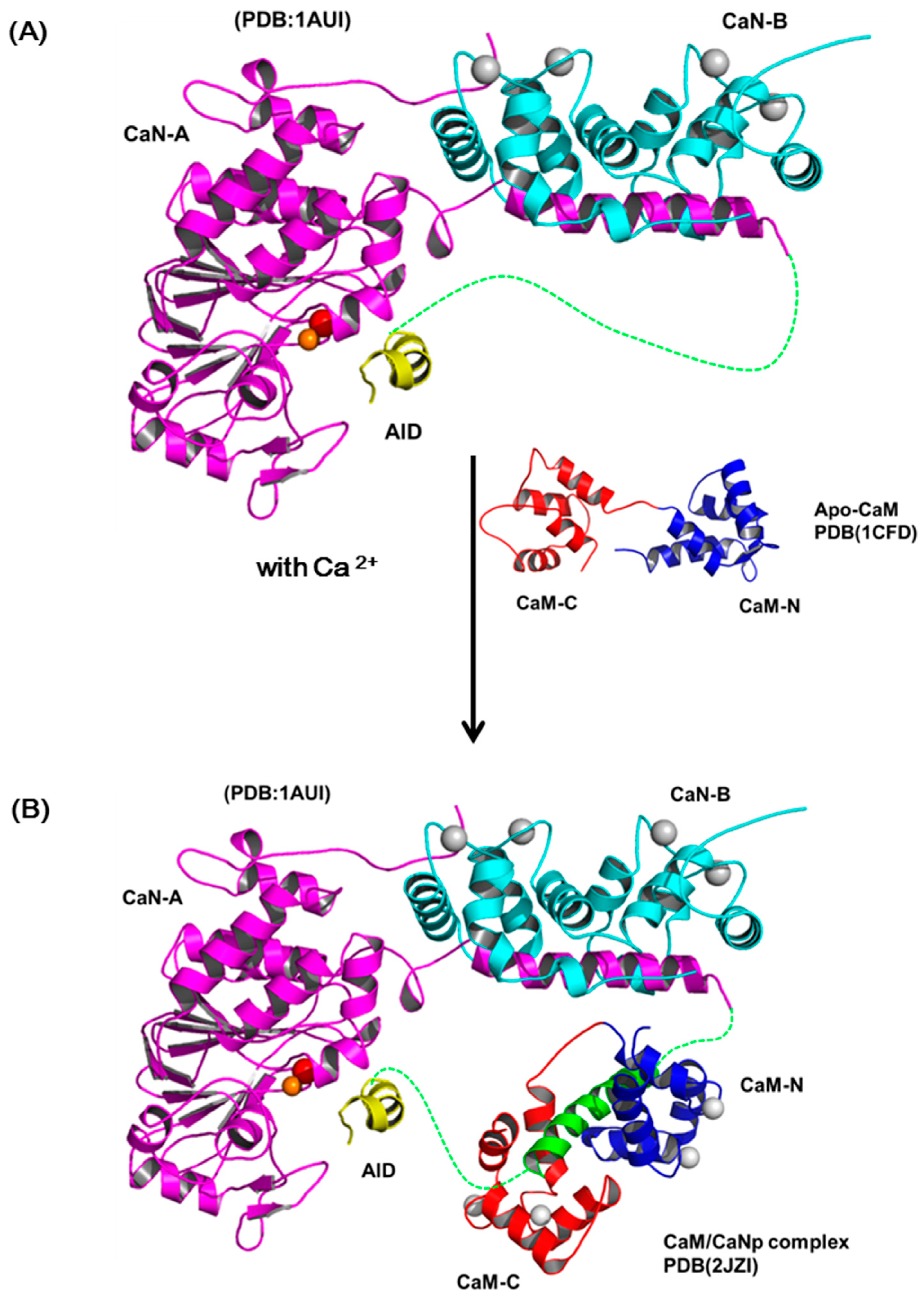 Molecules 22 01584 g008a Molecules 22 01584 g008a