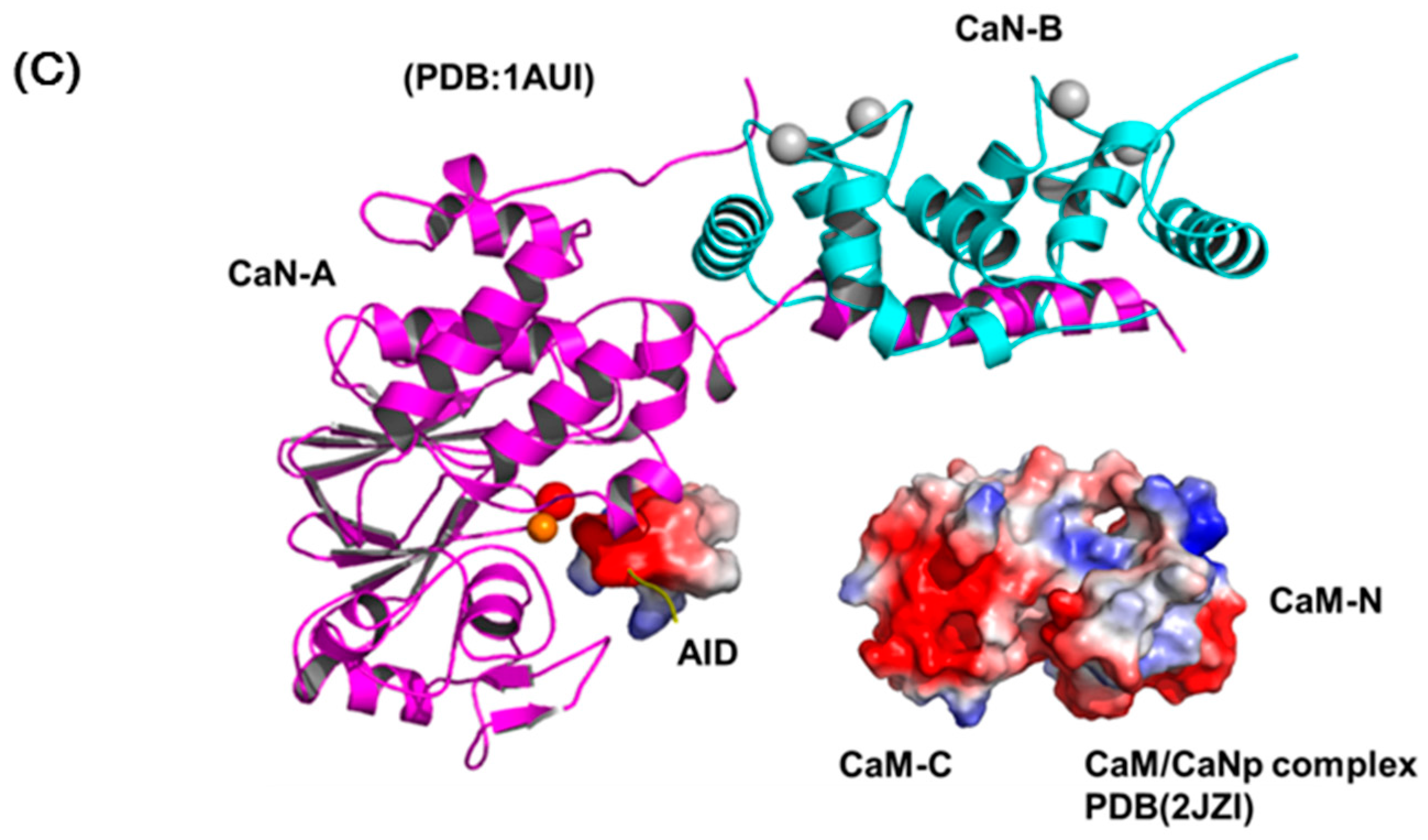 Molecules 22 01584 g008b Molecules 22 01584 g008b