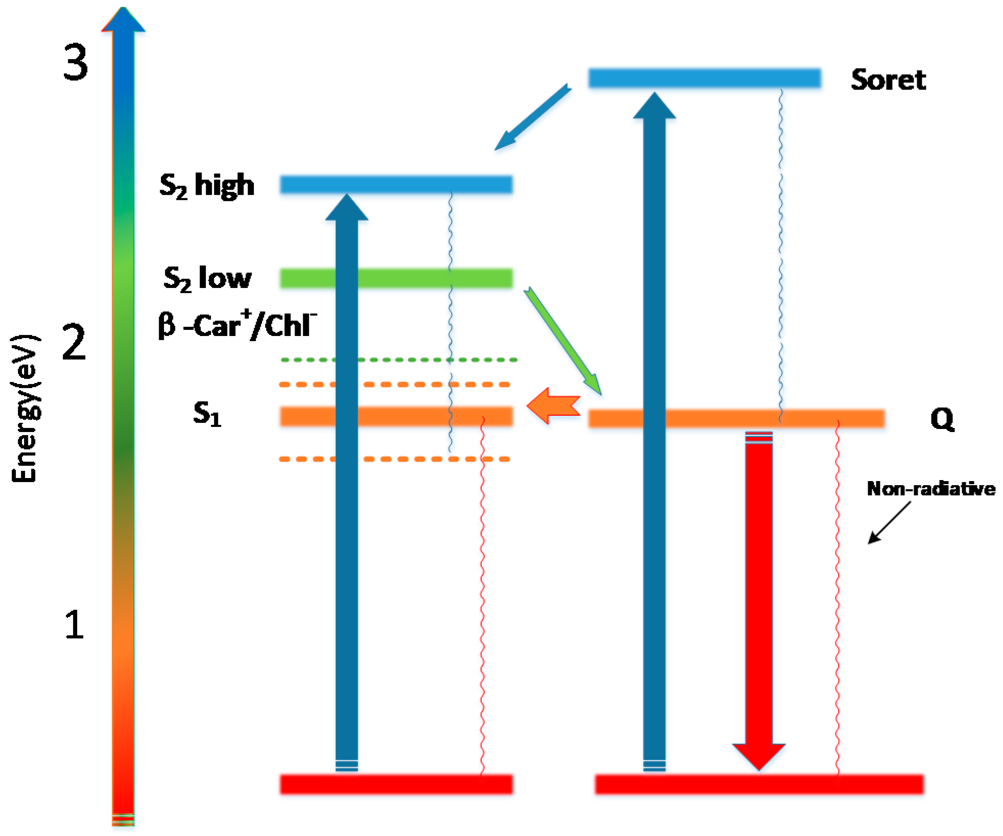 Molecules 22 01585 g003
