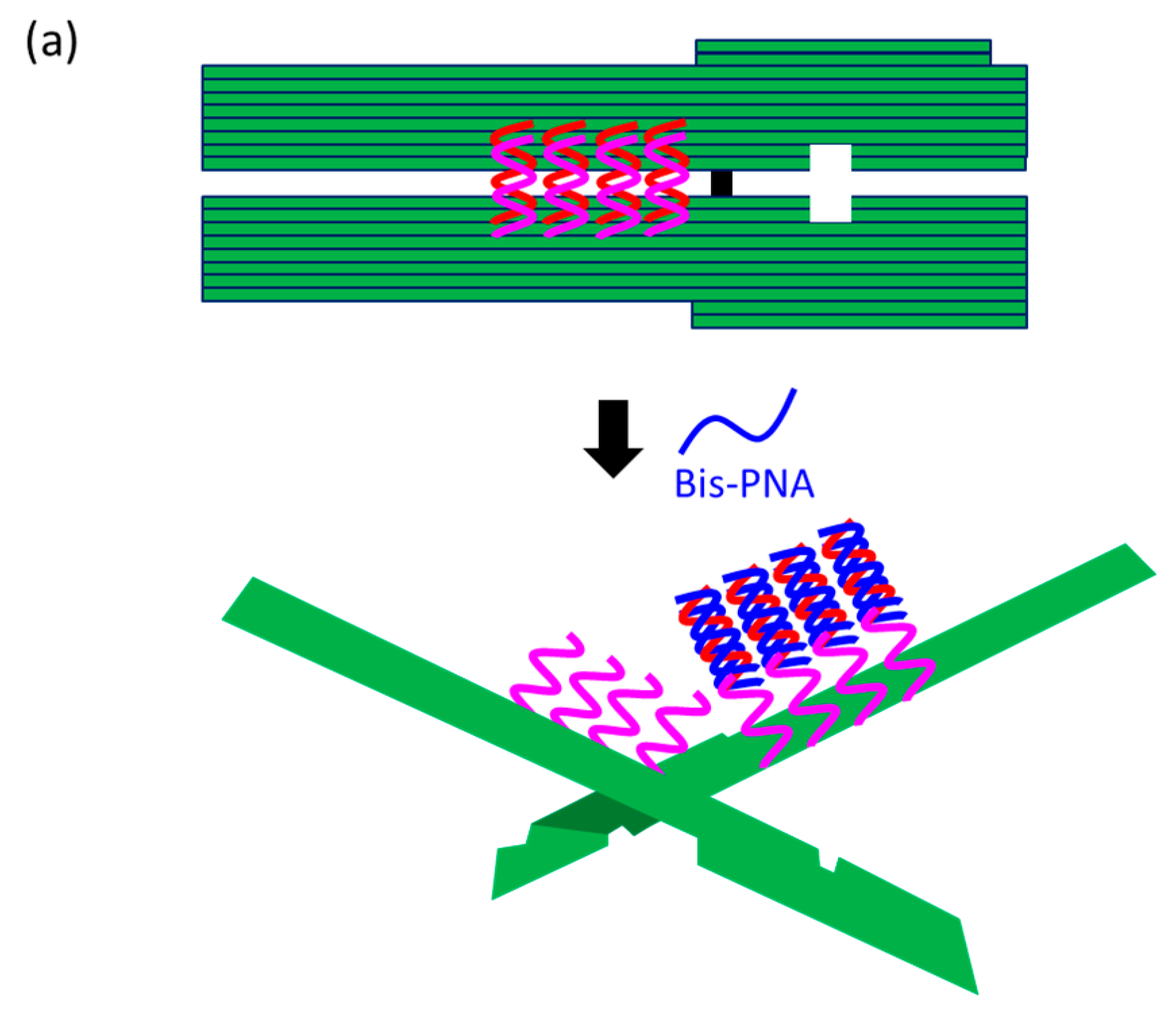 Molecules 22 01586 g007a