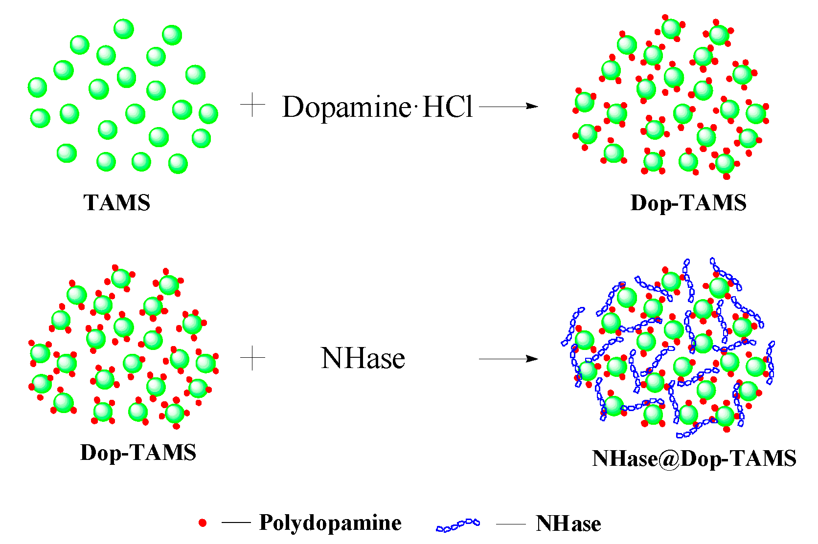 Molecules 22 01597 g001