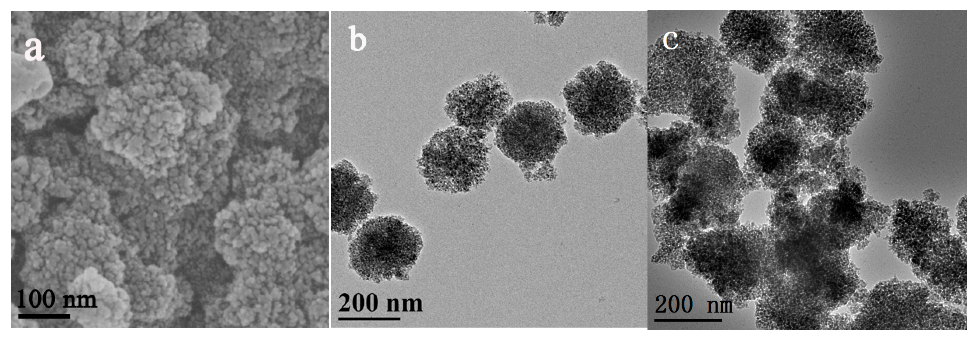 Molecules 22 01597 g002