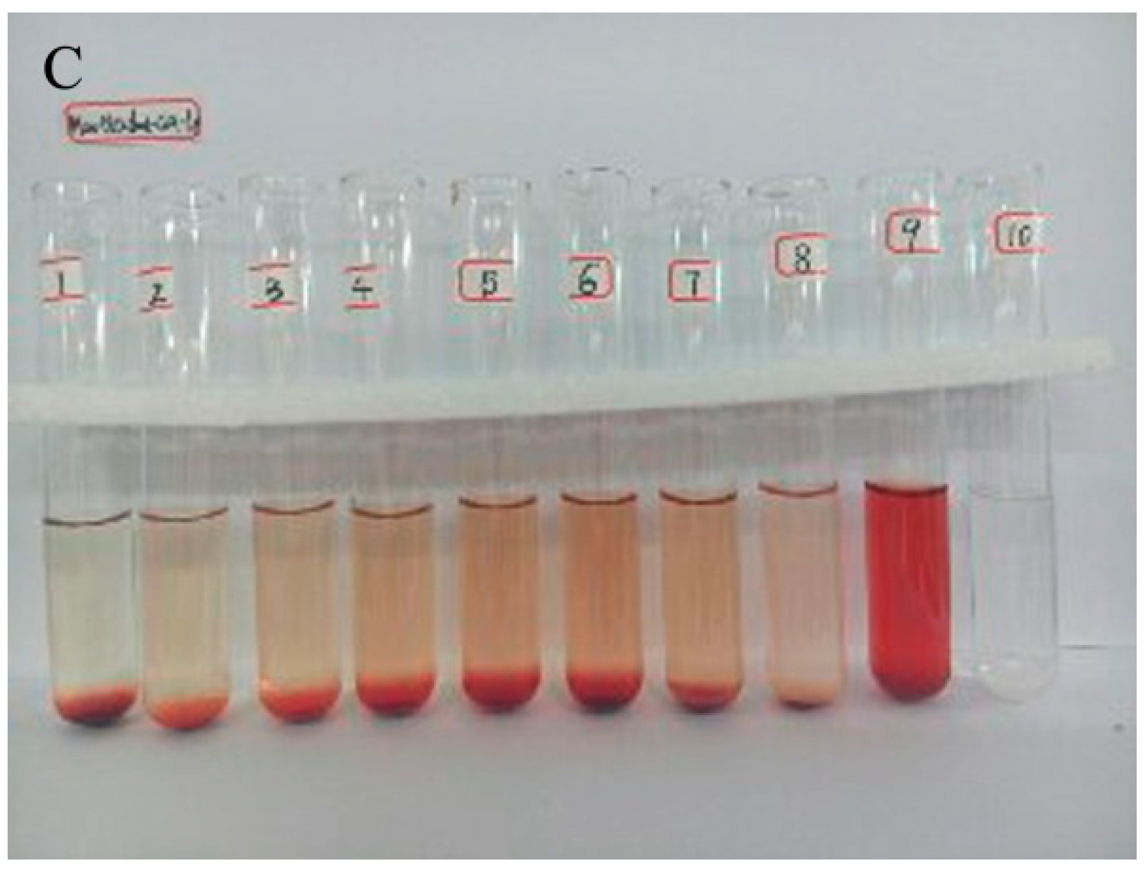 Molecules 22 01598 g002b