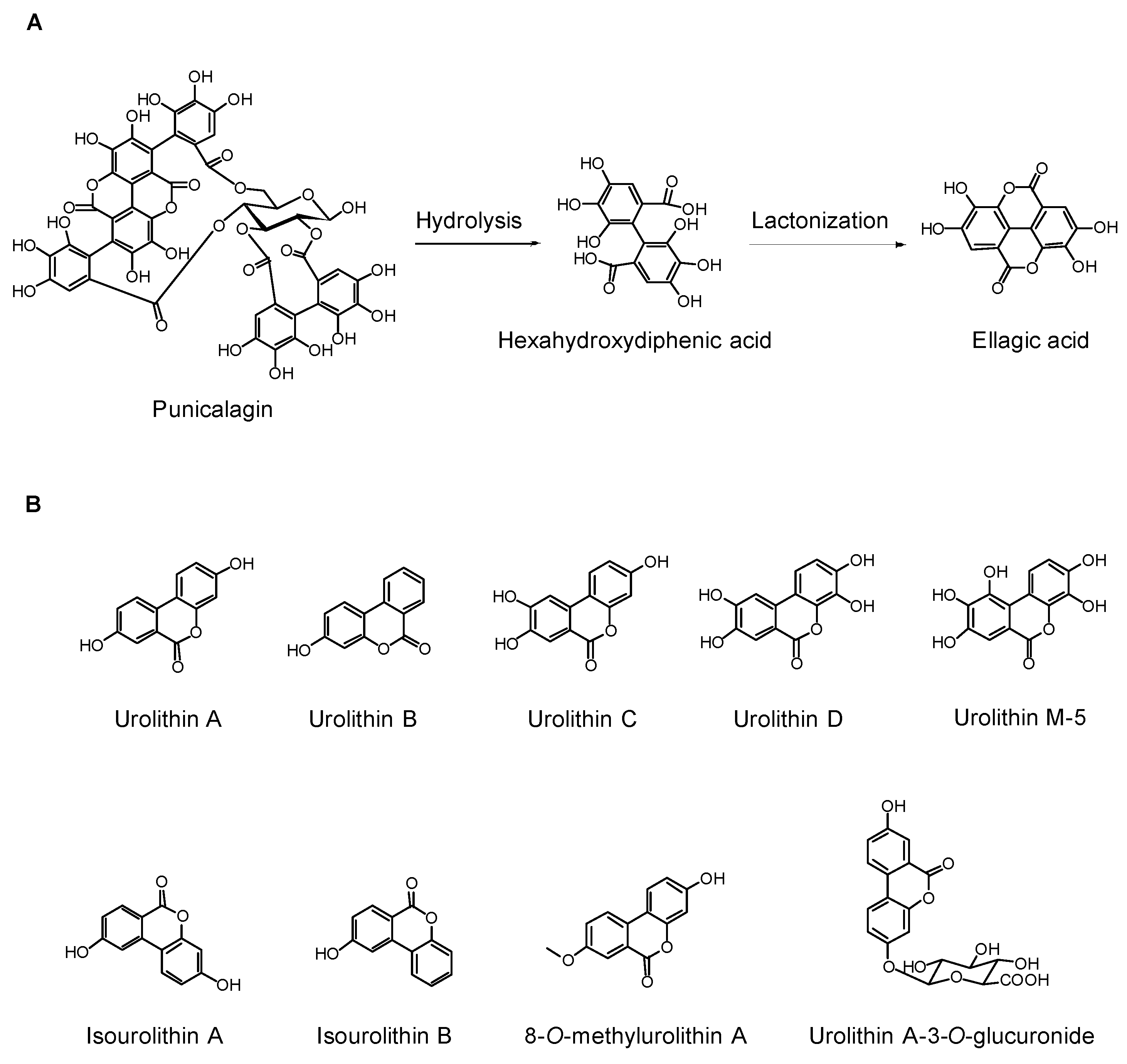 Molecules 22 01606 g001 Molecules 22 01606 g001