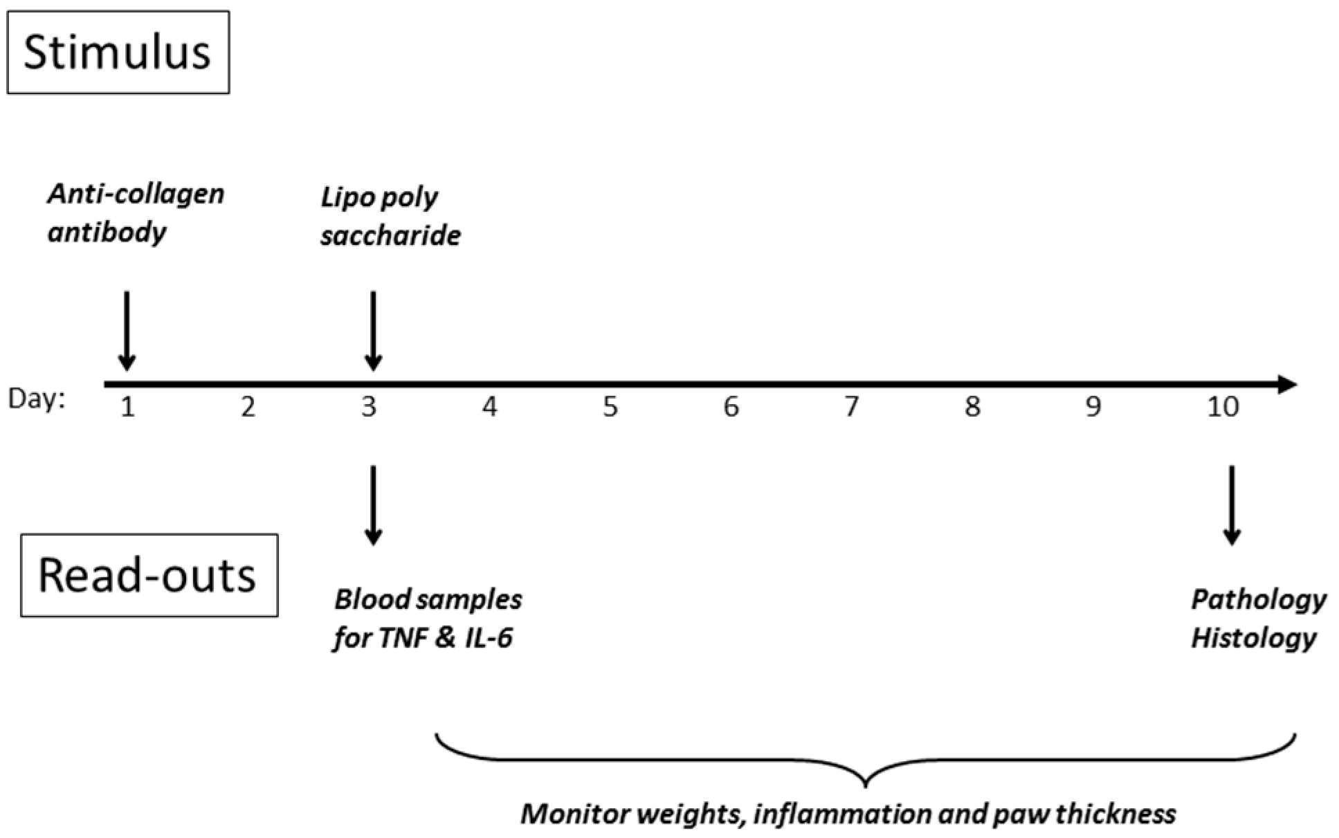 Molecules 22 01613 g008