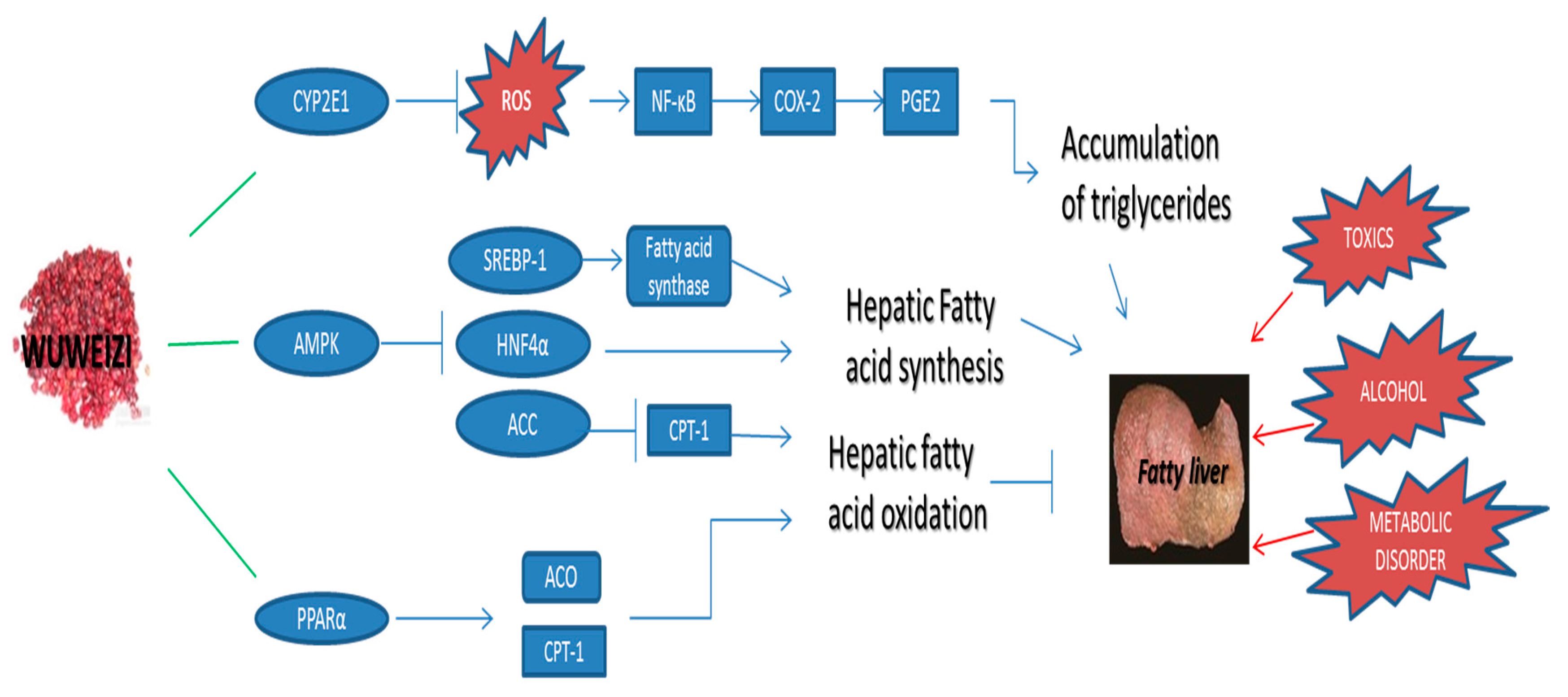 Molecules 22 01617 g002
